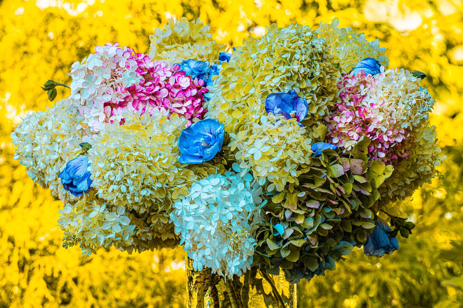 A colorful arrangement of blue, pink, and white hydrangeas against a bright yellow floral background.