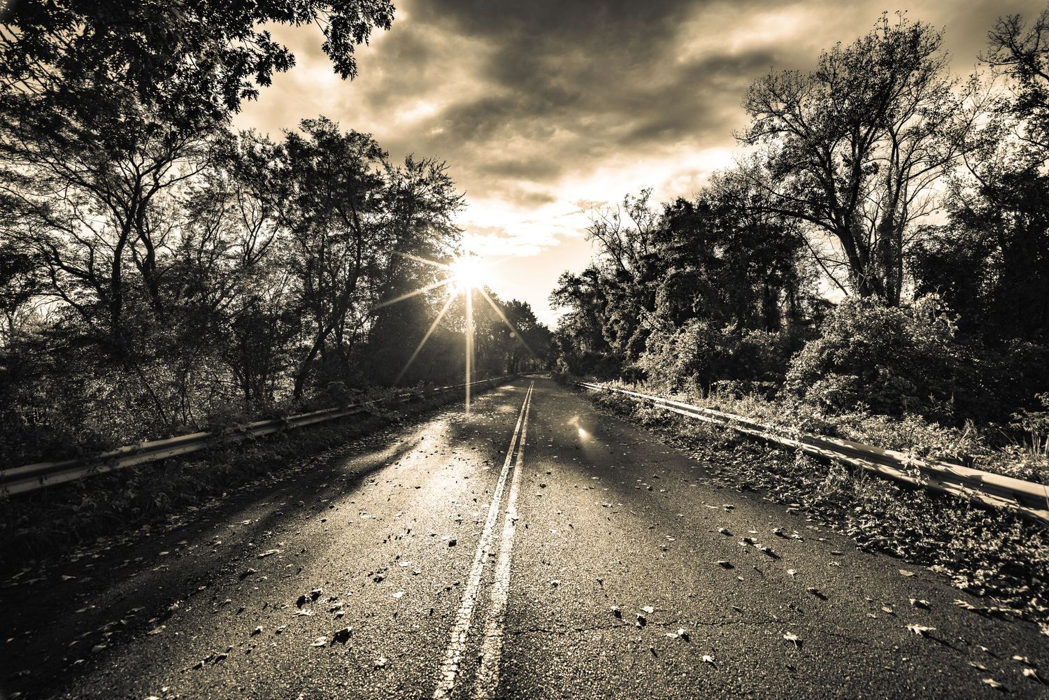 A dramatic black and white photo of a rural road at sunset with sun rays through trees.
