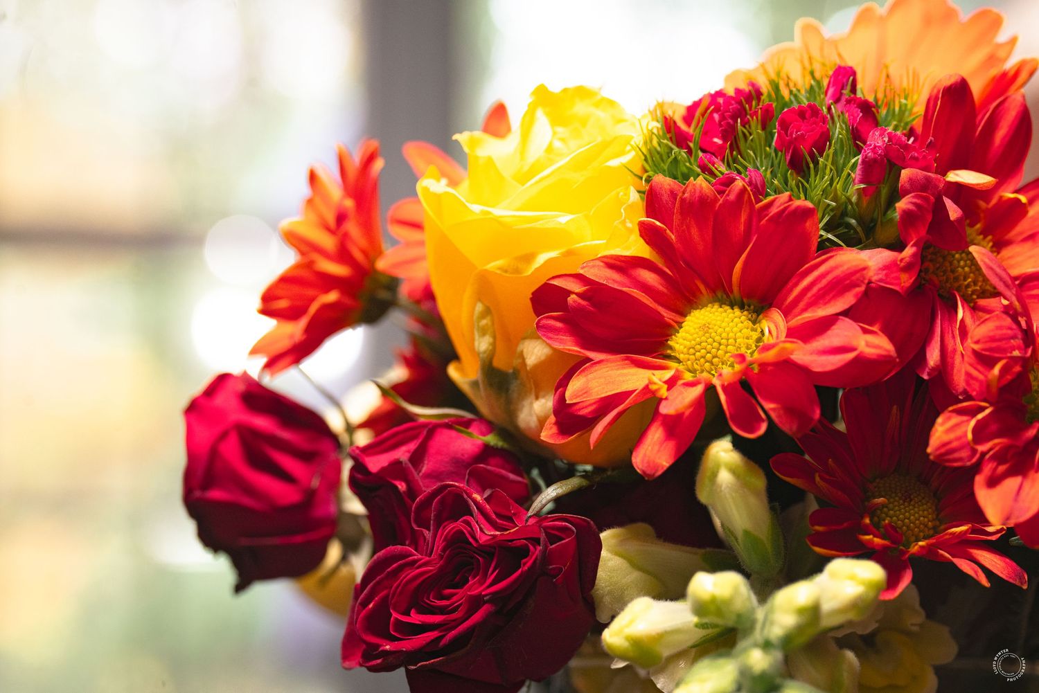 A vibrant bouquet of red roses, yellow roses, and orange gerbera daisies arranged near a bright window.