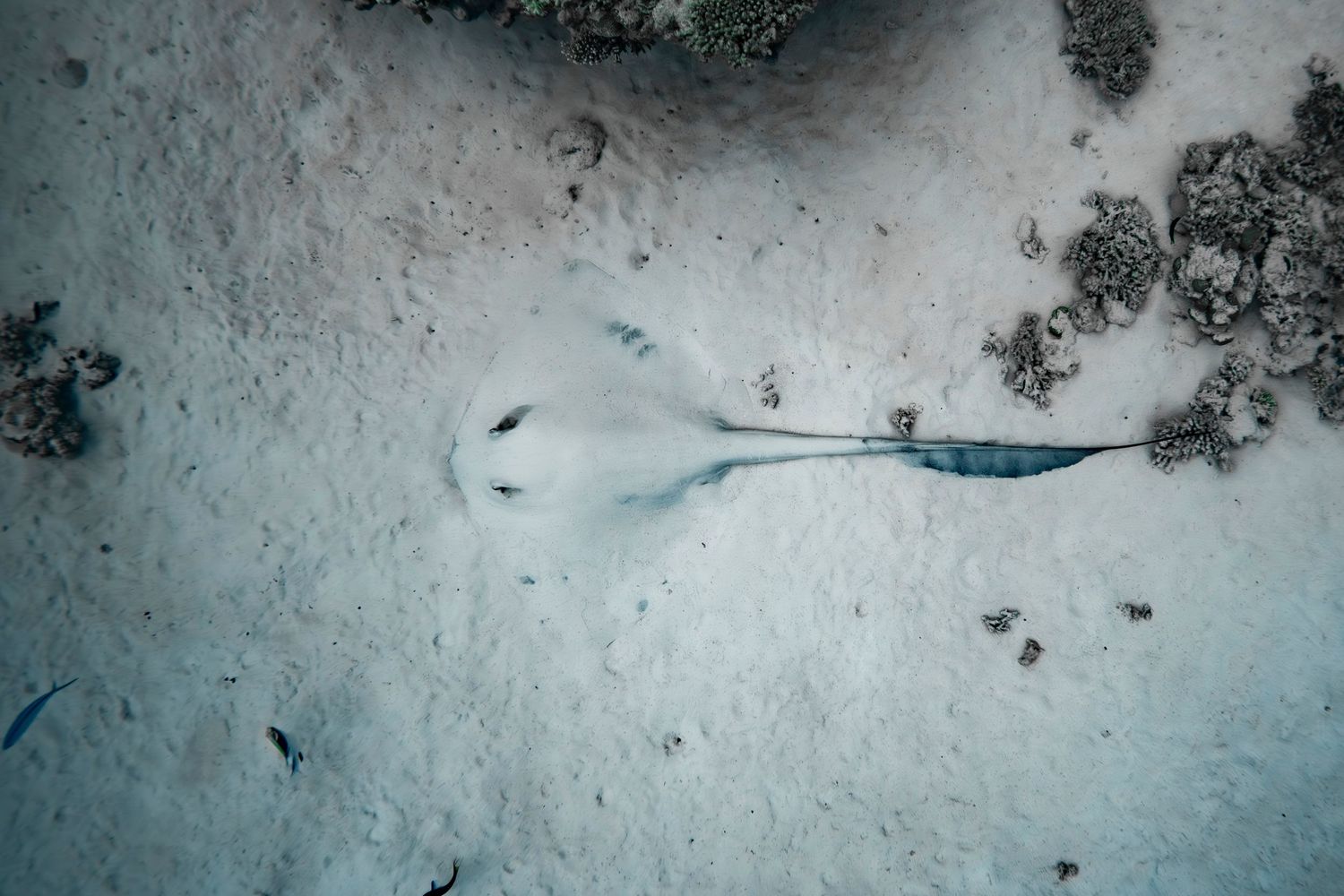 Cinematic underwater photo, in a documentary style, magical underwater photoshoot. Destination Elopement, maternity underwater photographer