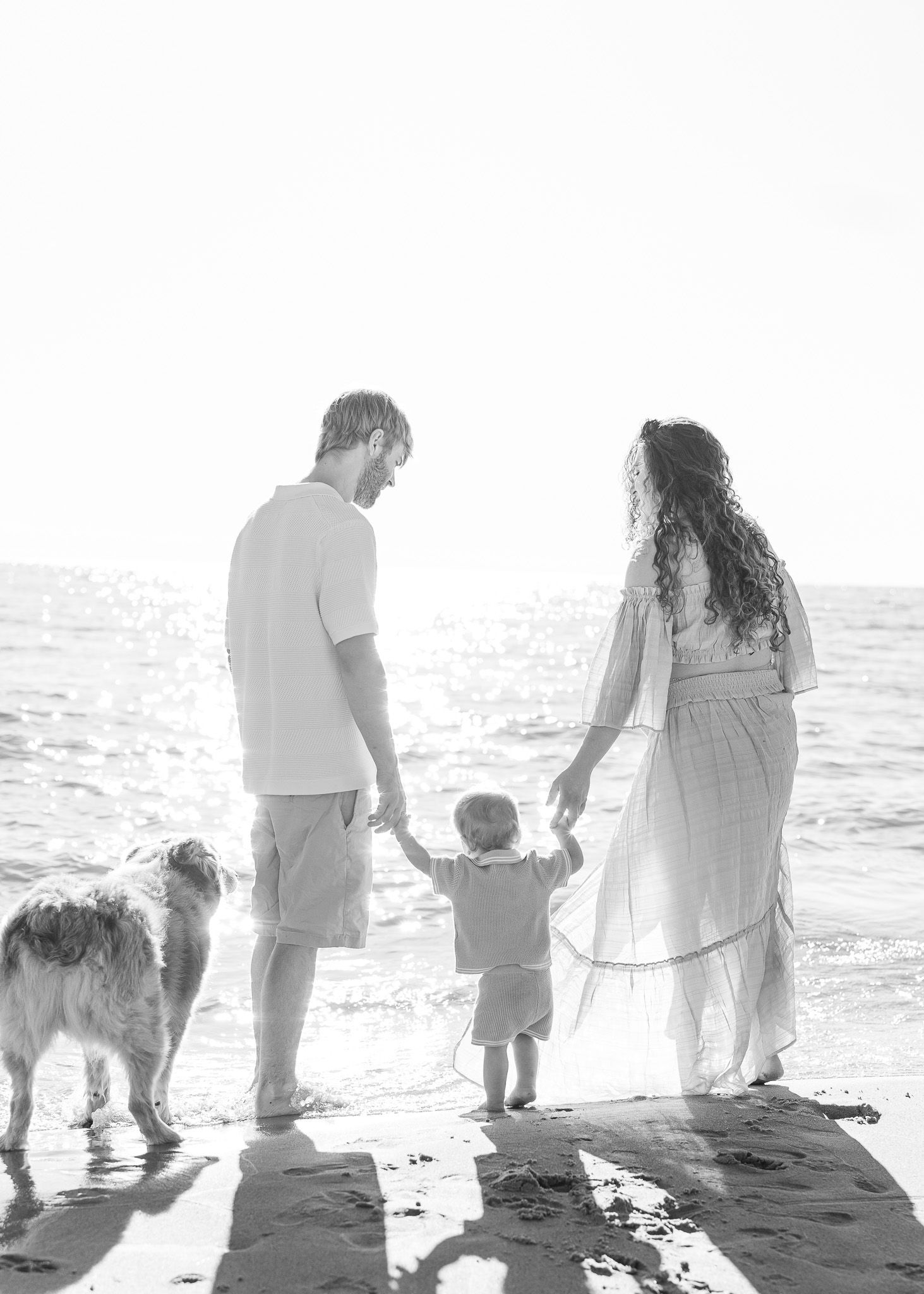 A black and white photo shows people and dogs walking along a misty beach shoreline at sunset.
