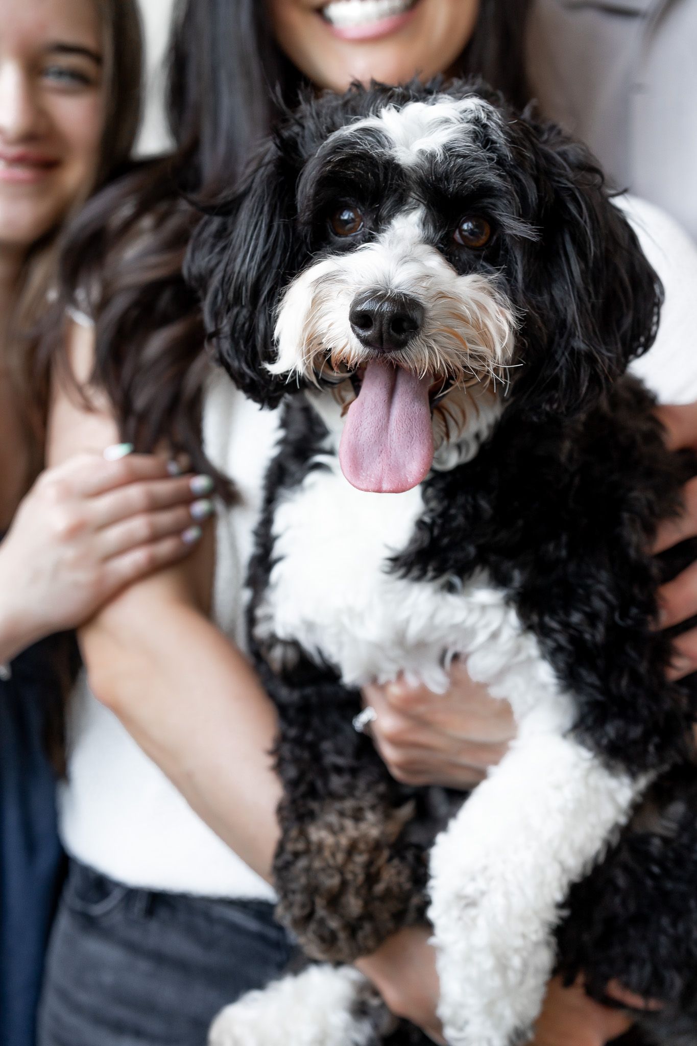 family and dog photography in East Lansing and Okemos