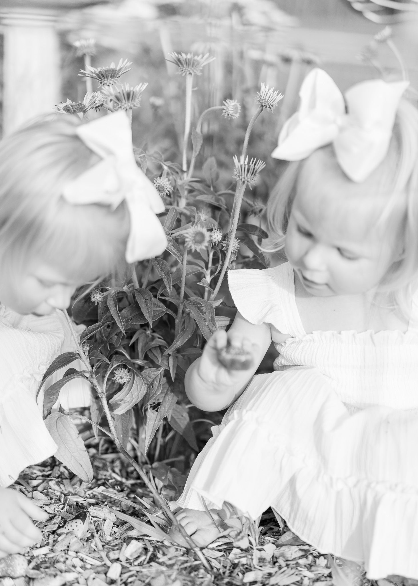 A black and white photo series showing a child in a white dress playing with flowers in a garden.