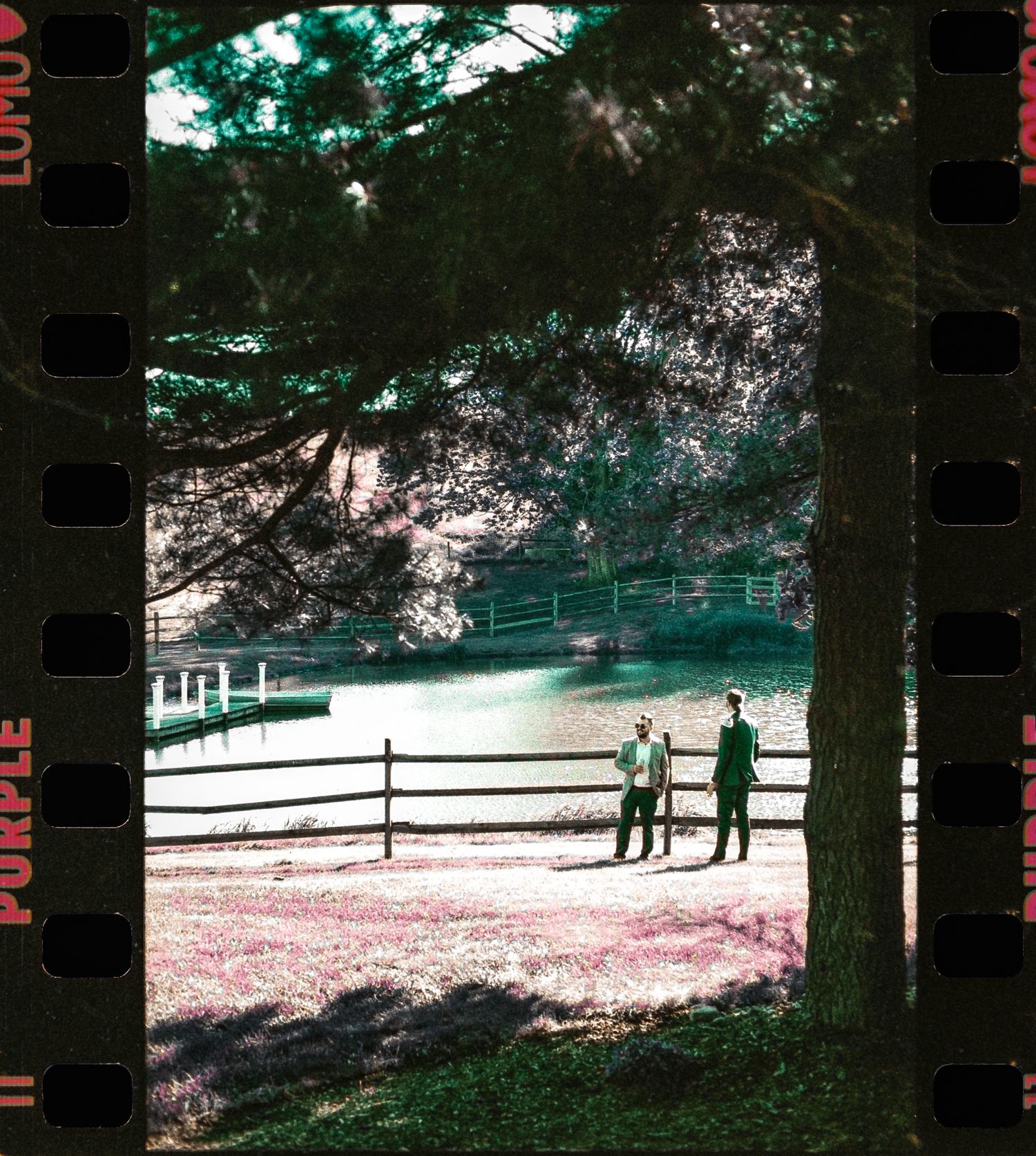 near lake at shady elm farms pittsburgh pa photography and video by EternalLensMedia.com shot on lomo purple film.