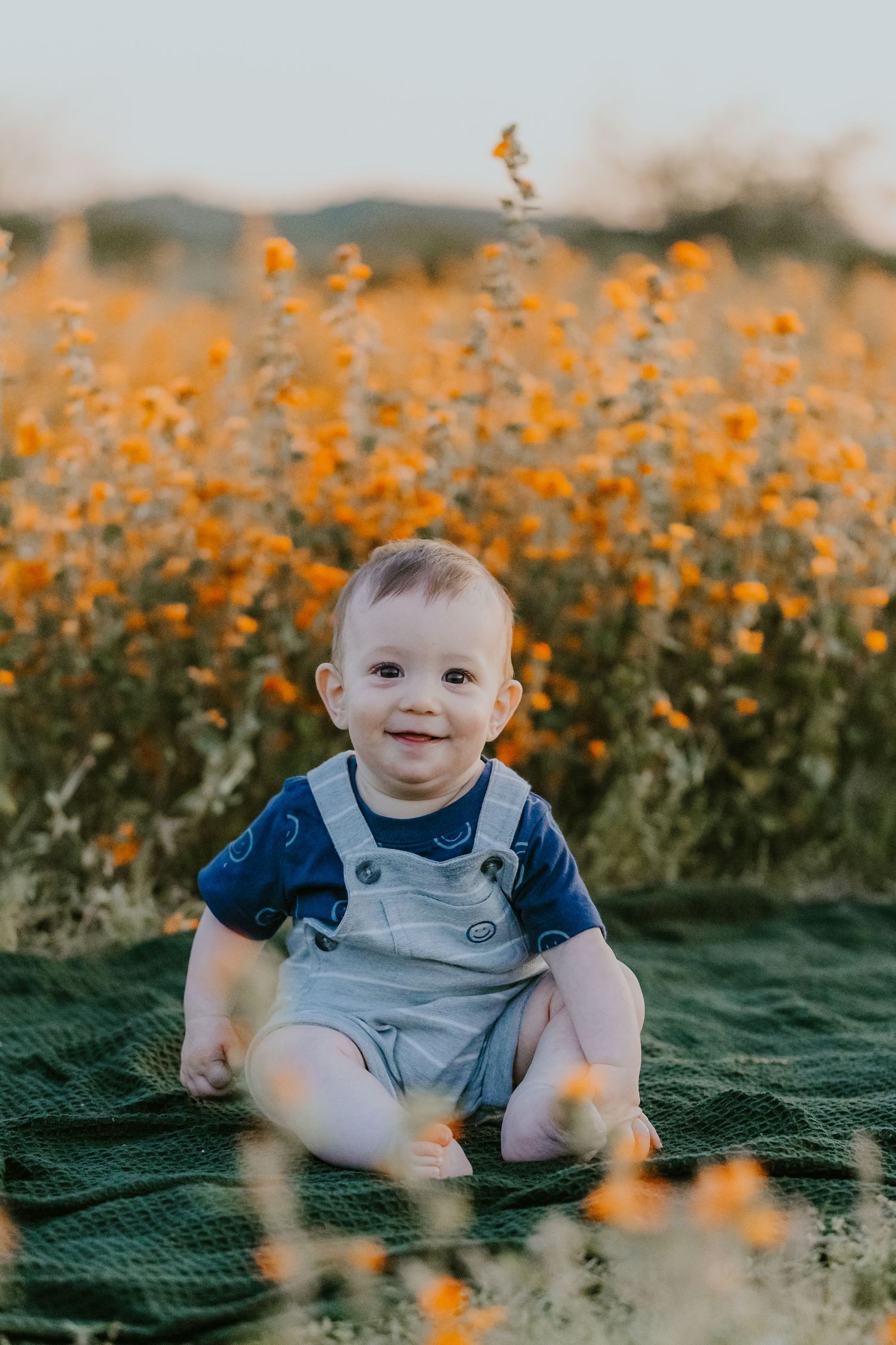 A baby in blue overalls sits on a green blanket surrounded by orange wildflowers at sunset.