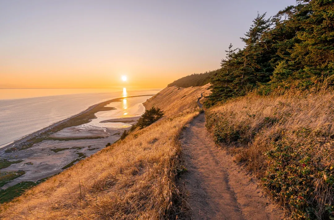 Scenic coastal trail at sunset with golden hills, evergreen trees, and ocean views in warm orange light.
