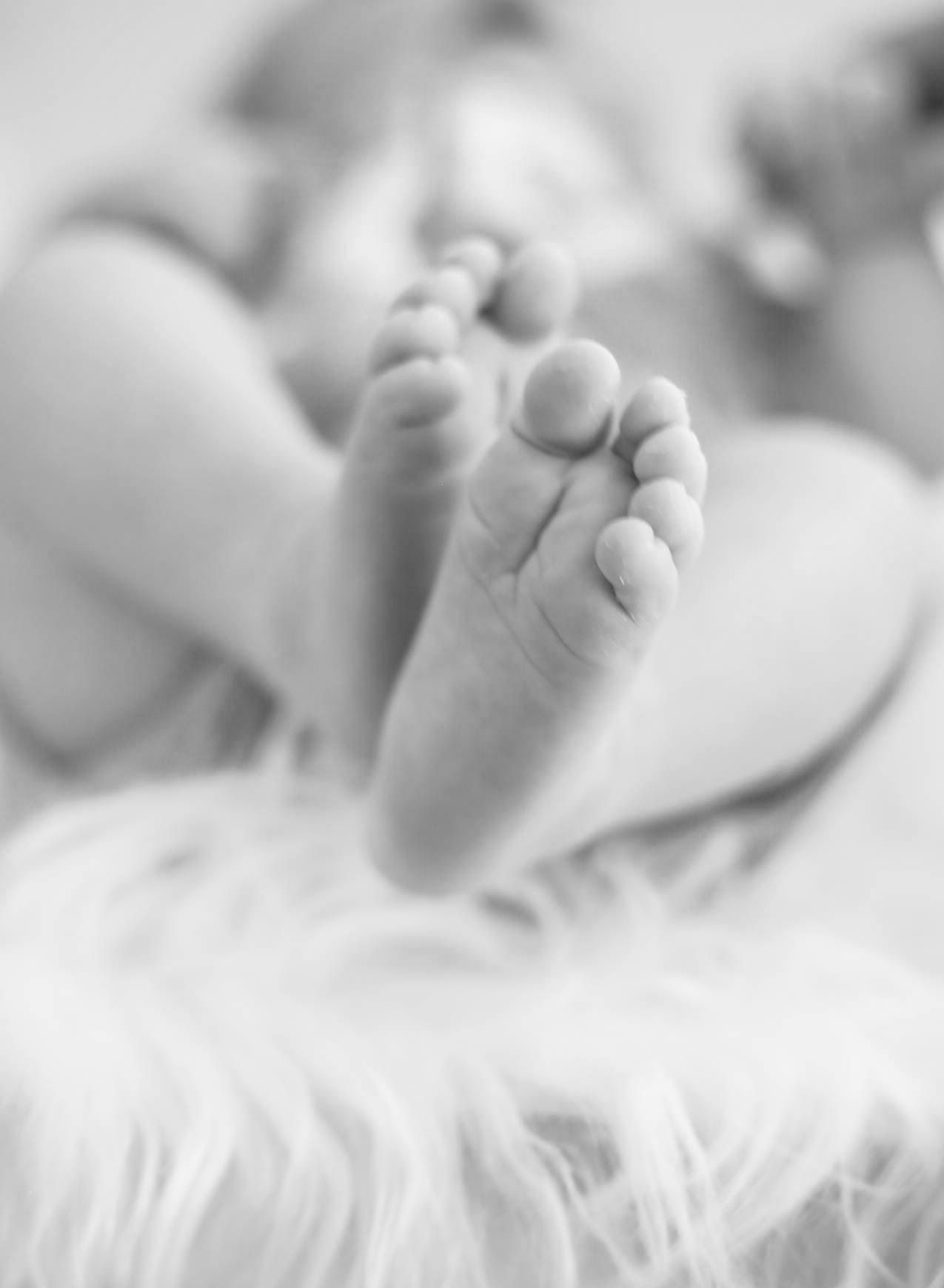 Close-up black and white photo of newborn baby feet resting on a soft fluffy white blanket.