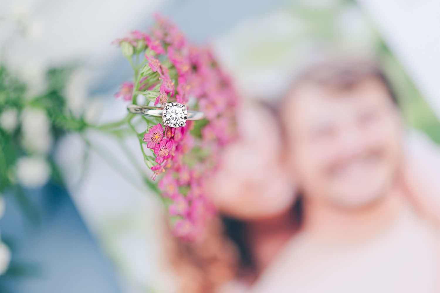 Small pink flowers in focus with a soft blurred background creating a dreamy bokeh effect.