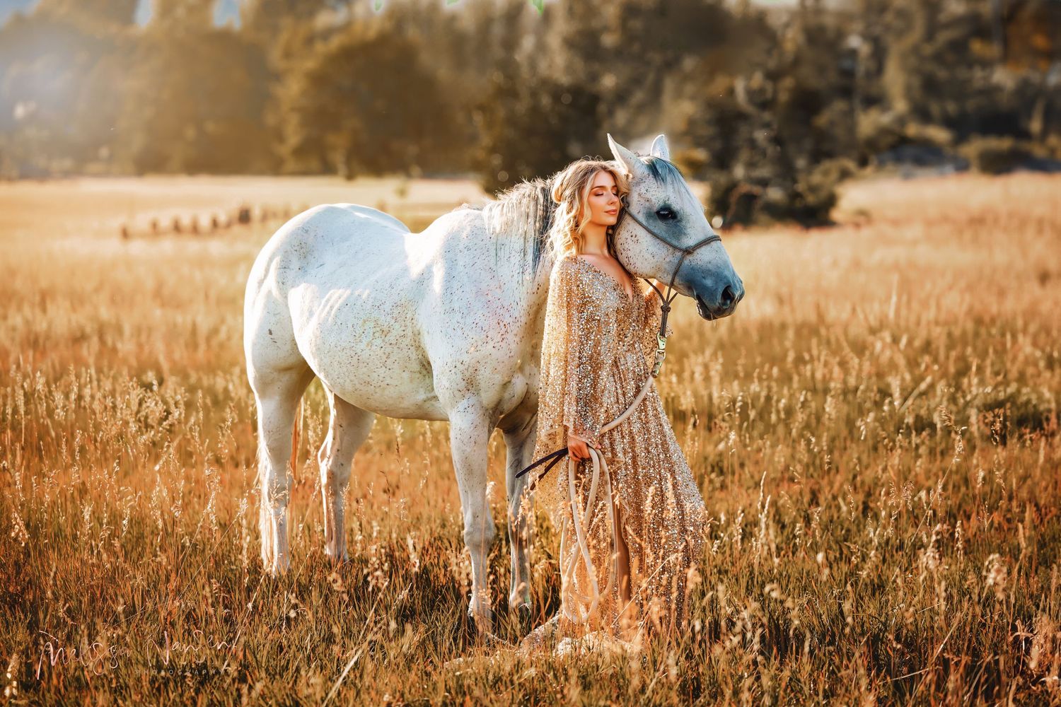 Beautiful white horse stands with friend in sun-drenched meadow at sunset.