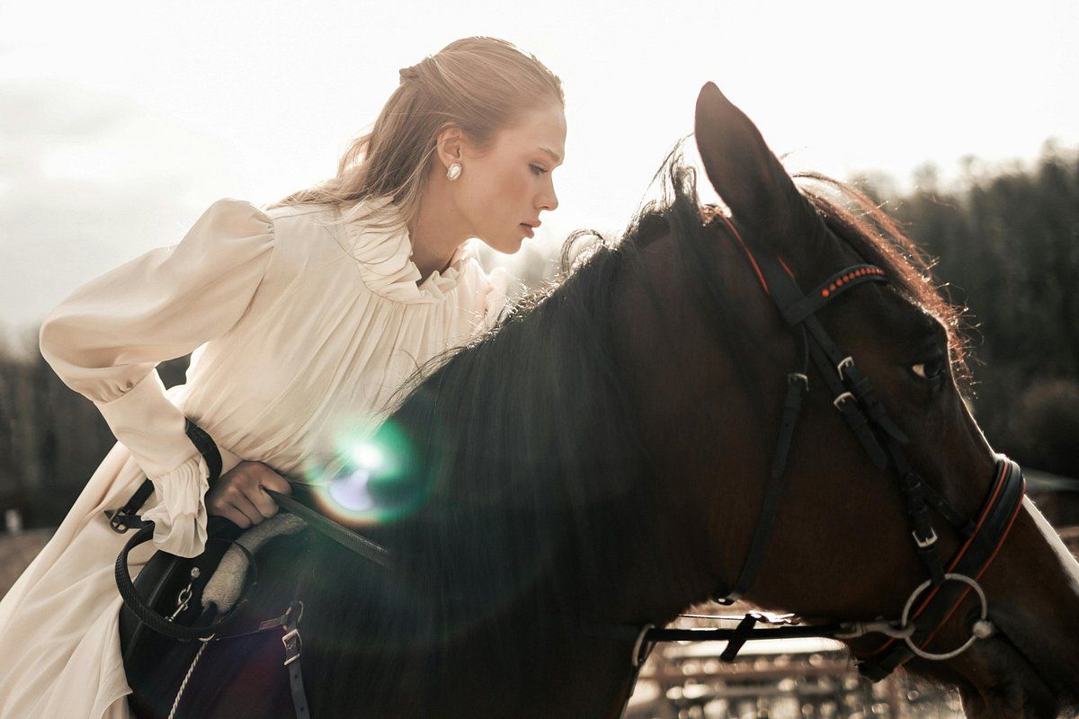 A woman in a white blouse leans forward to nuzzle a dark brown horse outdoors in golden sunlight.