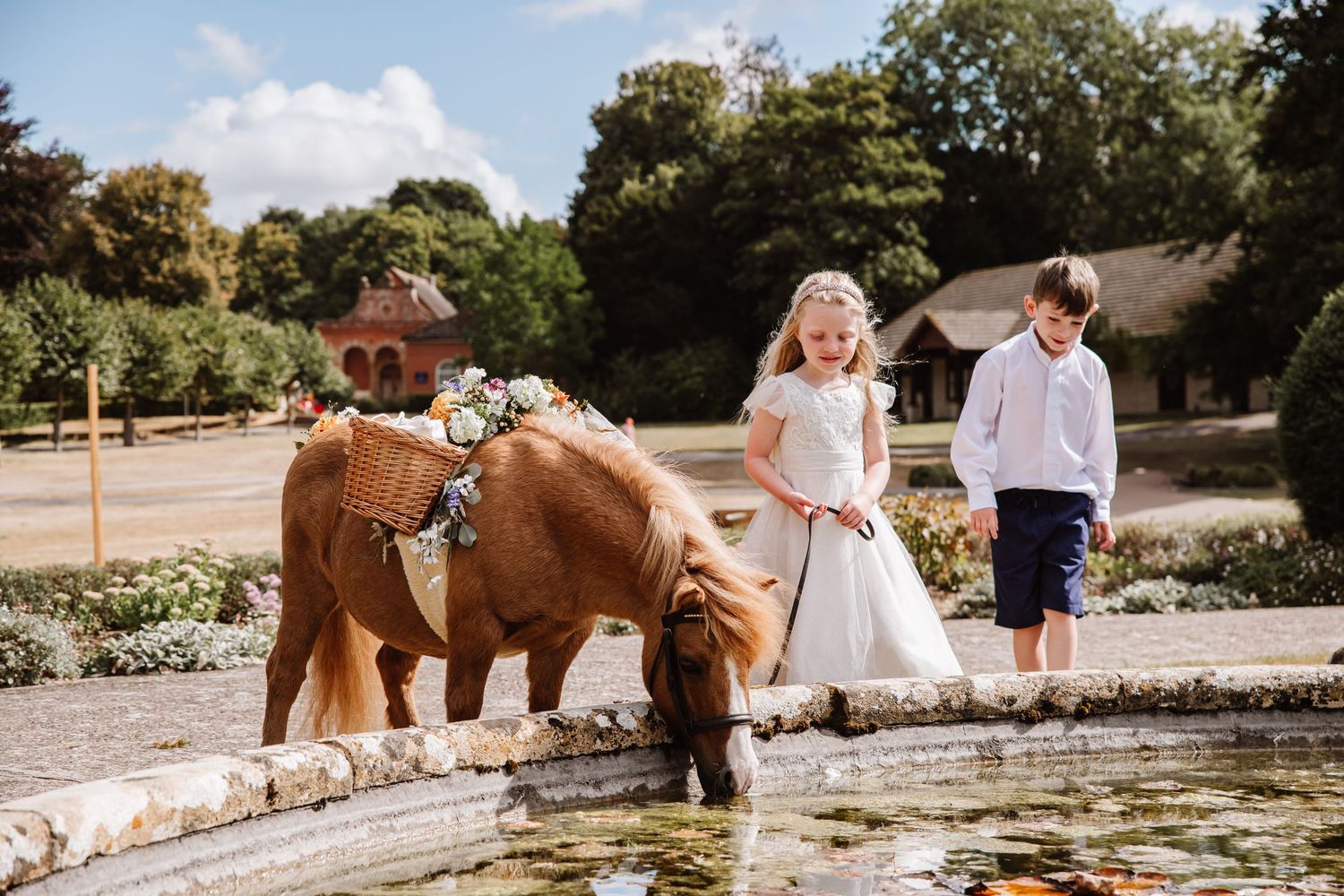 Weymouth wedding photographer. Archie the champagne confetti pony for hire at Iwerne House, Clayesmore school wedding venue near Blandford