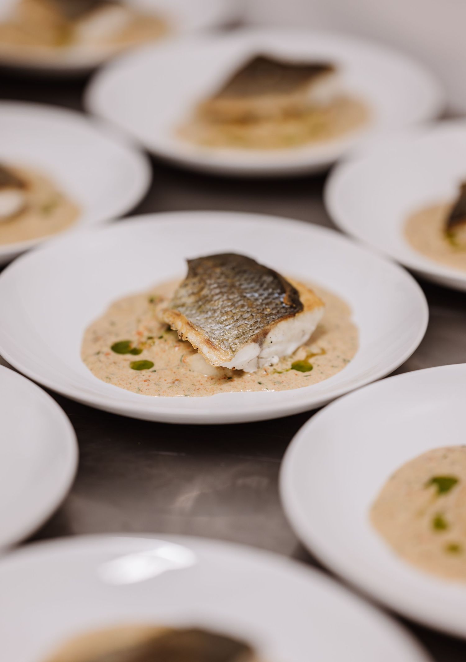 Elegant plated fish fillet in creamy sauce served on white dishes at a fine dining restaurant.