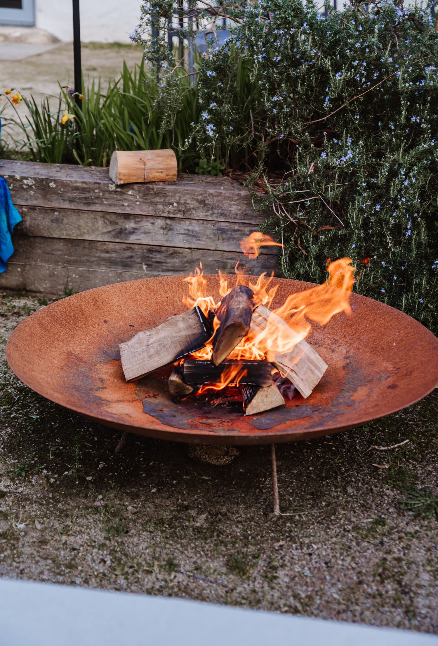 Rustic cast iron fire pit bowl with burning wood logs and bright orange flames in an outdoor garden setting. The Cornish Place, Cornwall wed