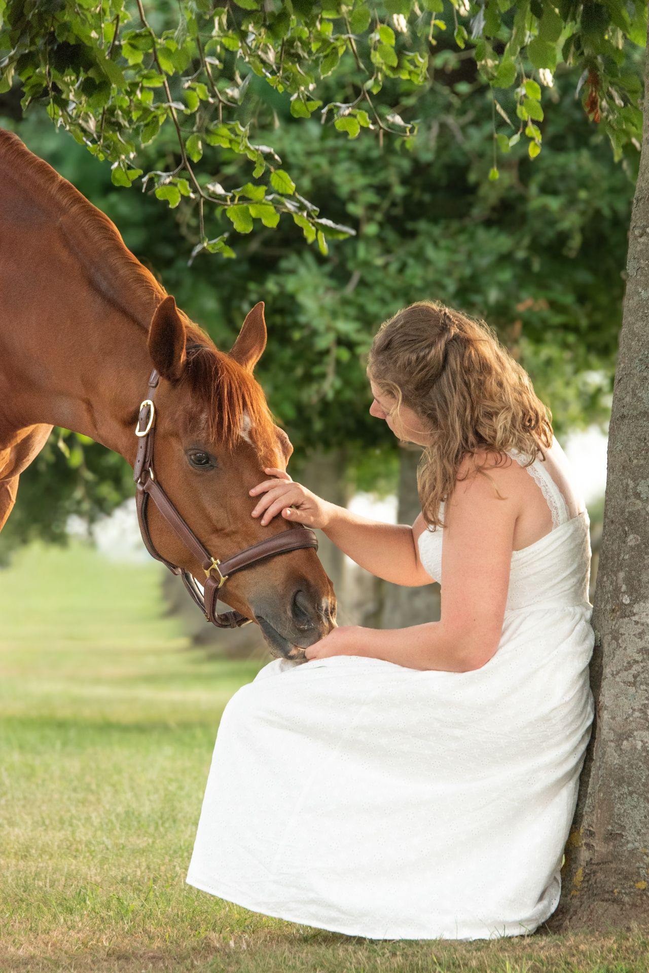 Young woman in white dress sitting under a tree gently petting a chestnut horse's face outdoors.