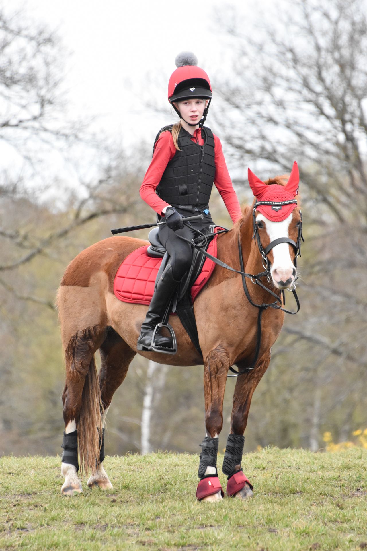 Young equestrian in red and black riding gear sits atop a chestnut horse with matching red accessories outdoors.
