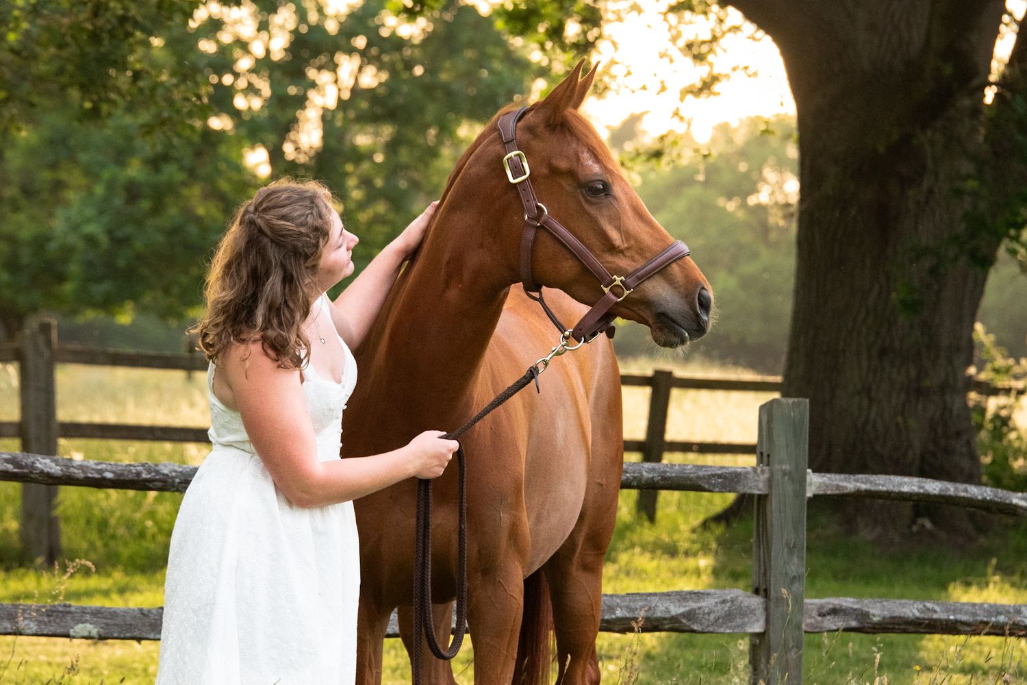 Young woman in white dress standing beside a chestnut horse near a wooden fence in golden hour sunlight.