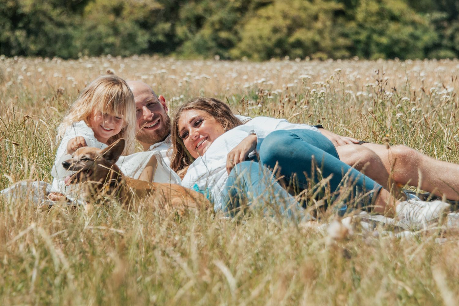 Family with young child and dog relaxing together in a sunny wildflower meadow, enjoying a peaceful outdoor picnic.