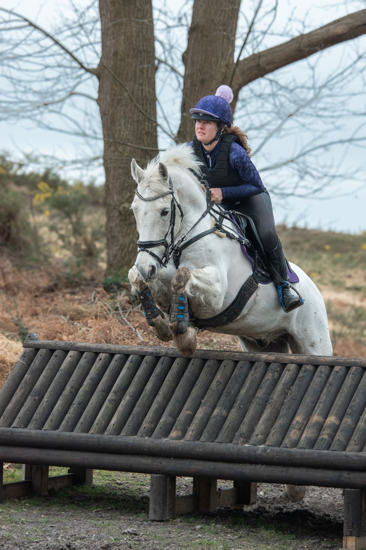 Young girl in purple helmet rides white horse jumping over wooden fence obstacle in outdoor equestrian course.