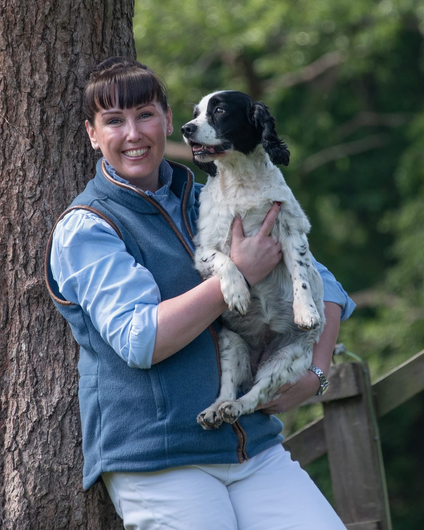 A smiling woman in a blue vest holds a black and white Springer Spaniel by a tree.