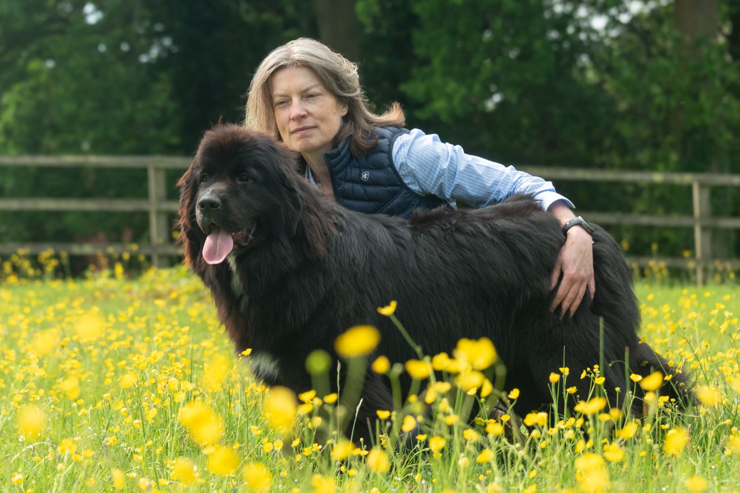 Woman hugging a large black Newfoundland dog in a field of yellow buttercups.