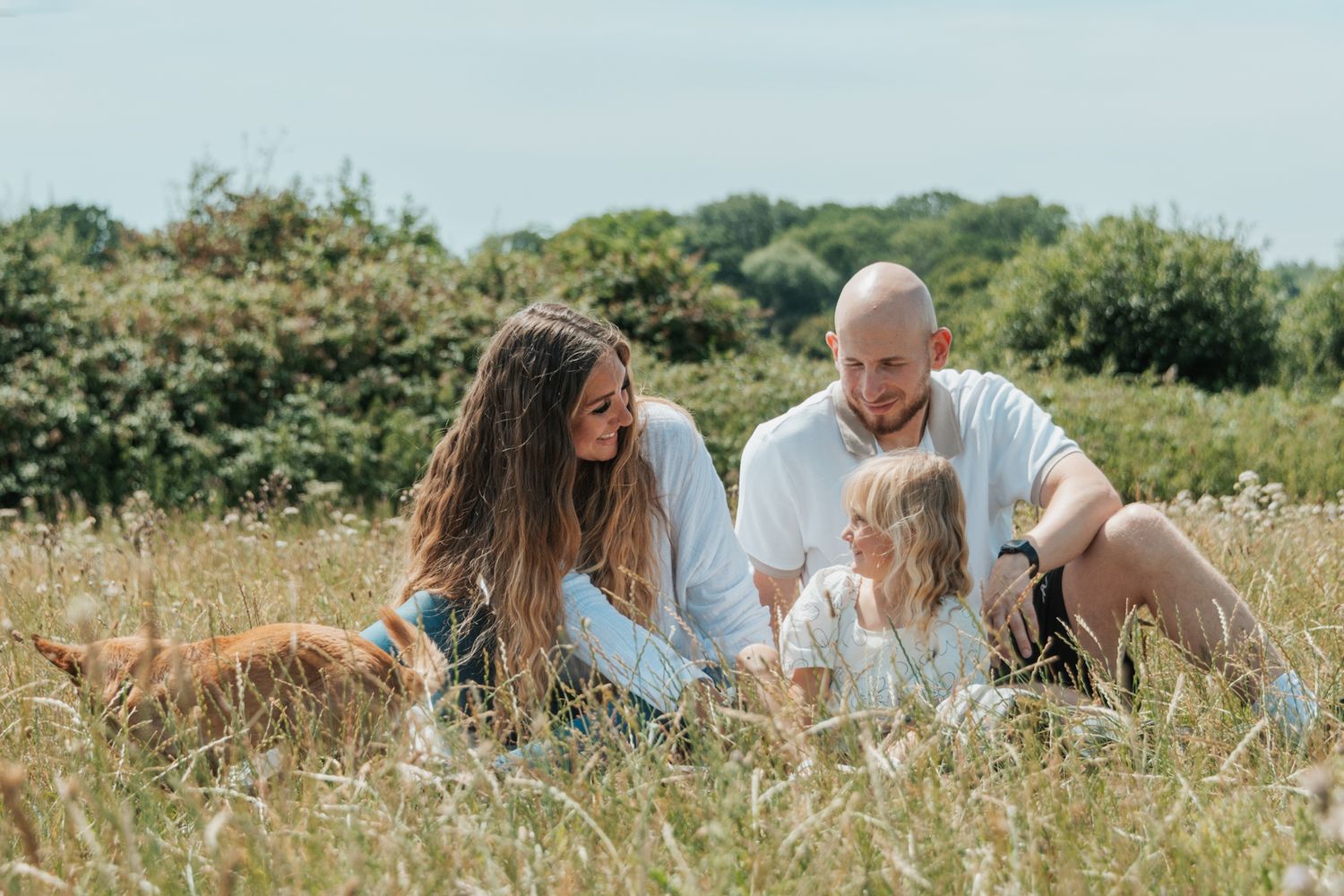 Family sitting in sunny meadow with golden dog, parents and child enjoying outdoors together.