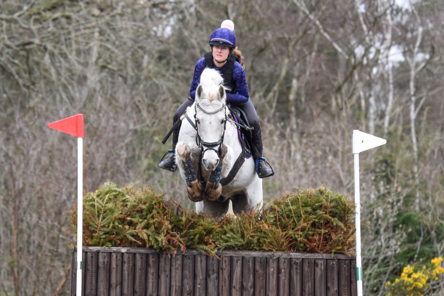 Rider in blue jacket jumping grey horse over cross-country fence.