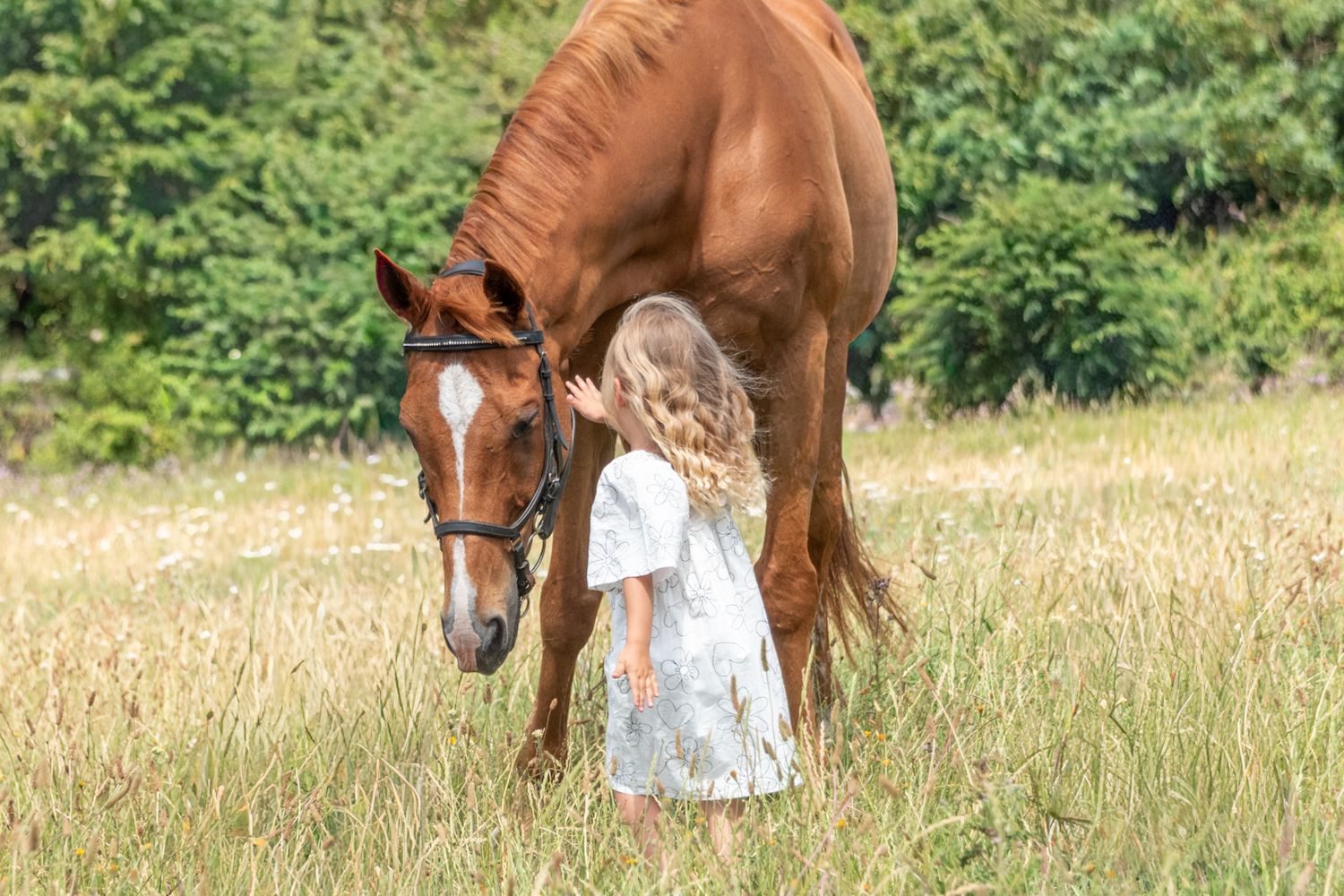 A young girl in a white dress tenderly embraces a chestnut horse in a sunny meadow.