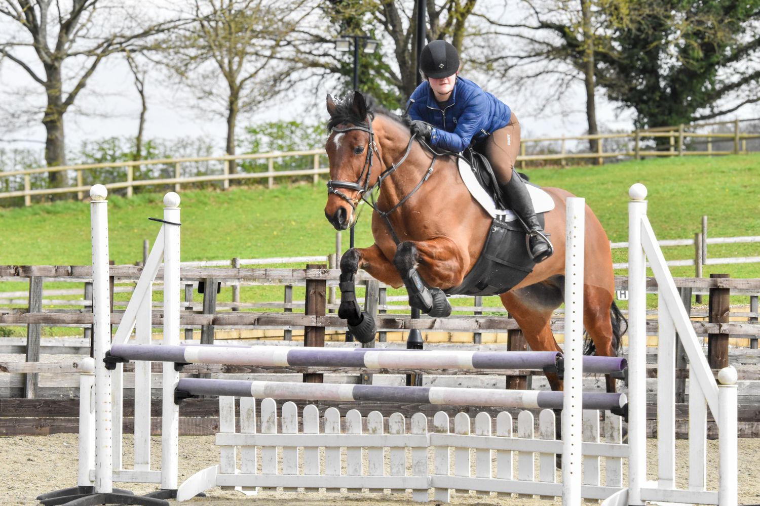 A rider in blue jumps a chestnut horse over a white fence at an equestrian show jumping event outdoors.