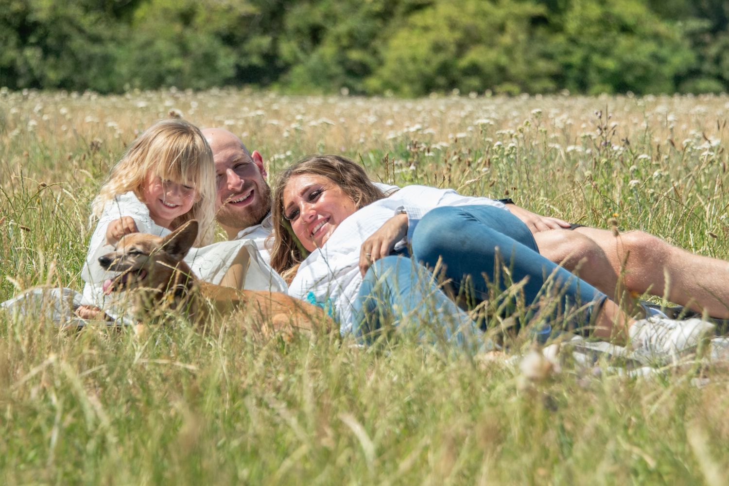 Family with dog relaxing in a sunny wildflower meadow, lying together on a blanket surrounded by tall grass.