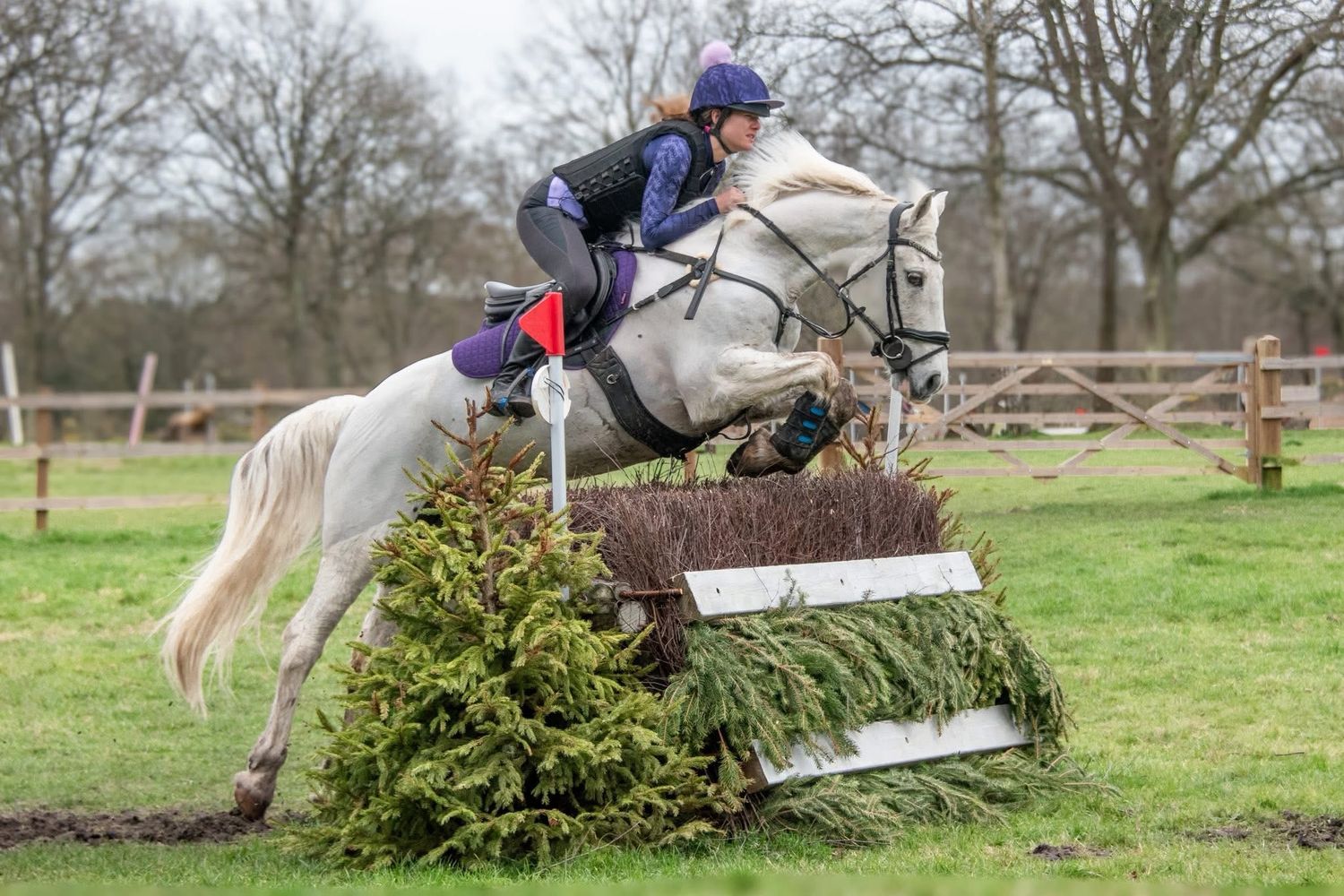 A rider in purple and black jumps a white horse over a rustic cross-country fence obstacle on a green grass course.