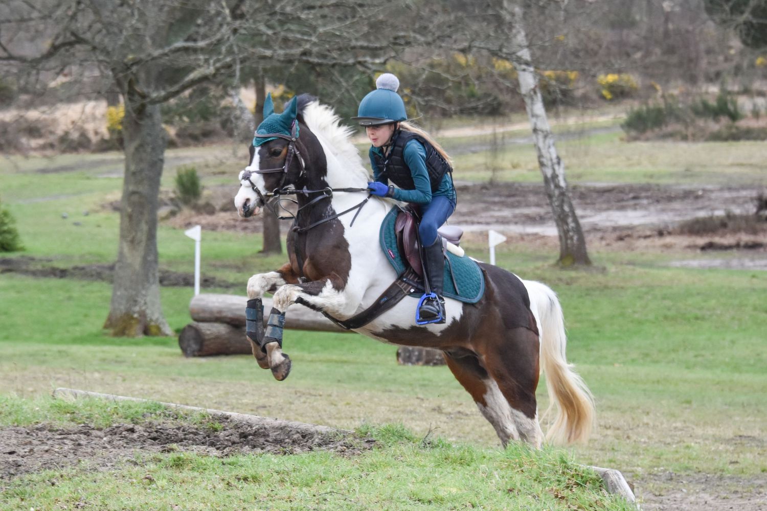 Young rider in teal outfit jumps a brown and white pinto horse over a cross-country fence outdoors.