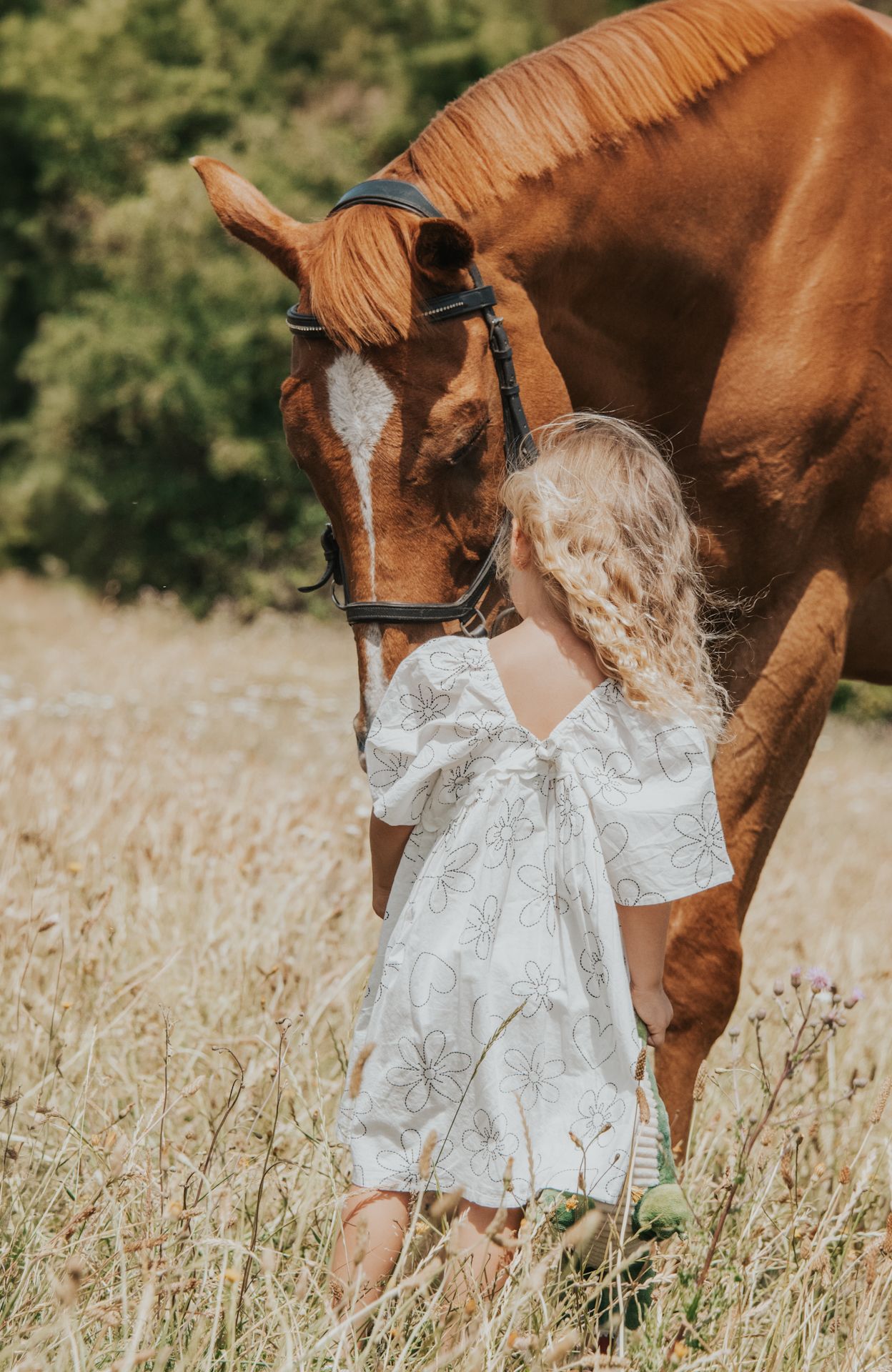 A young blonde girl in a white floral dress stands beside a chestnut horse in a golden meadow.