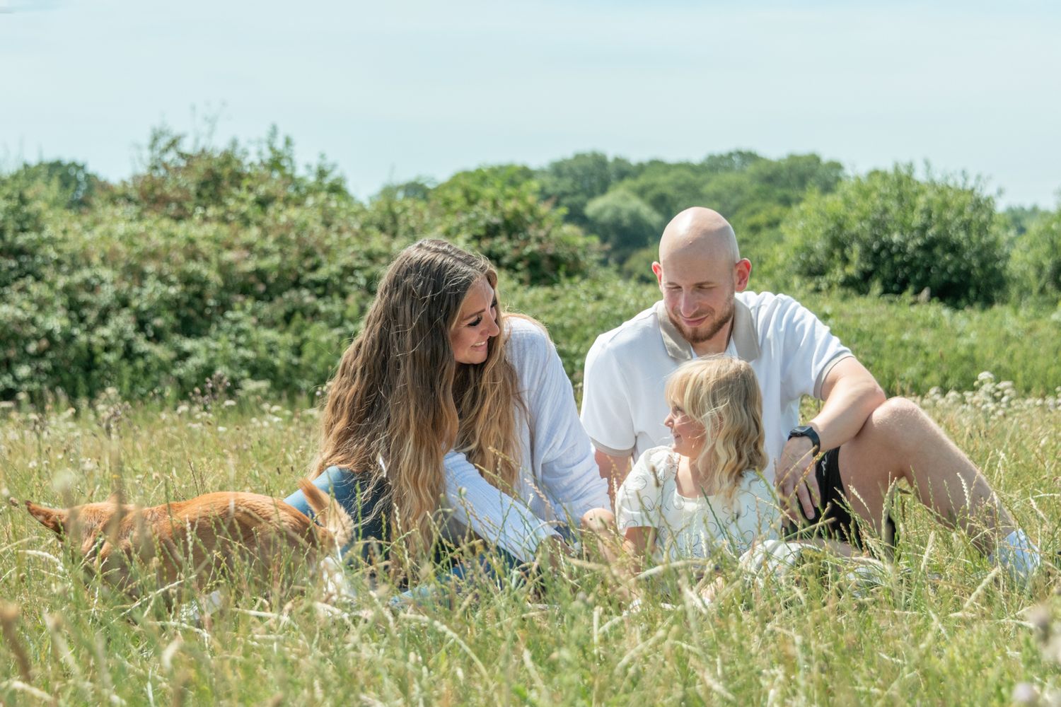 Family with a young child and golden dog sitting together in a sunny meadow with lush green trees in the background.