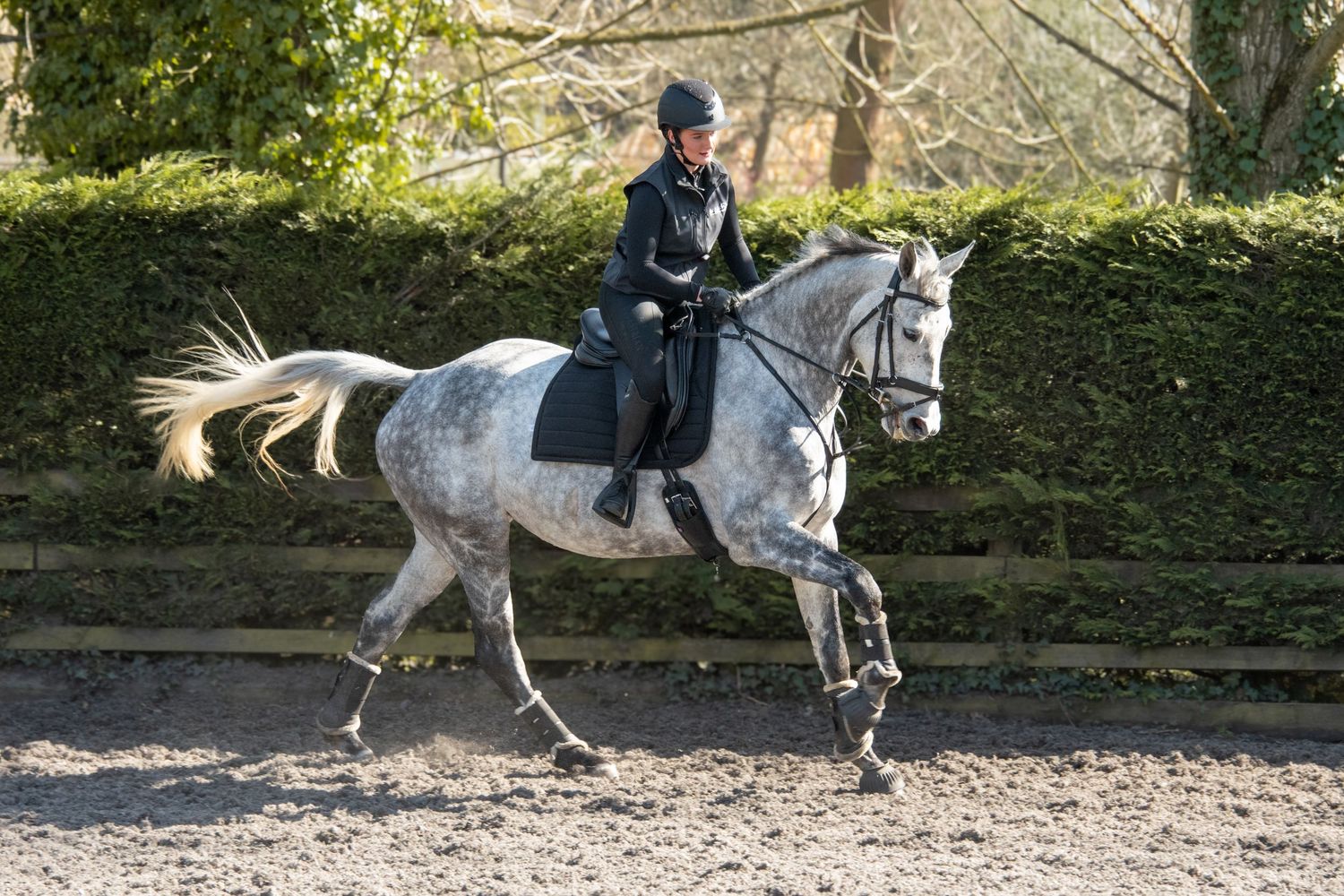Rider in black on a dapple grey horse during a dressage session.