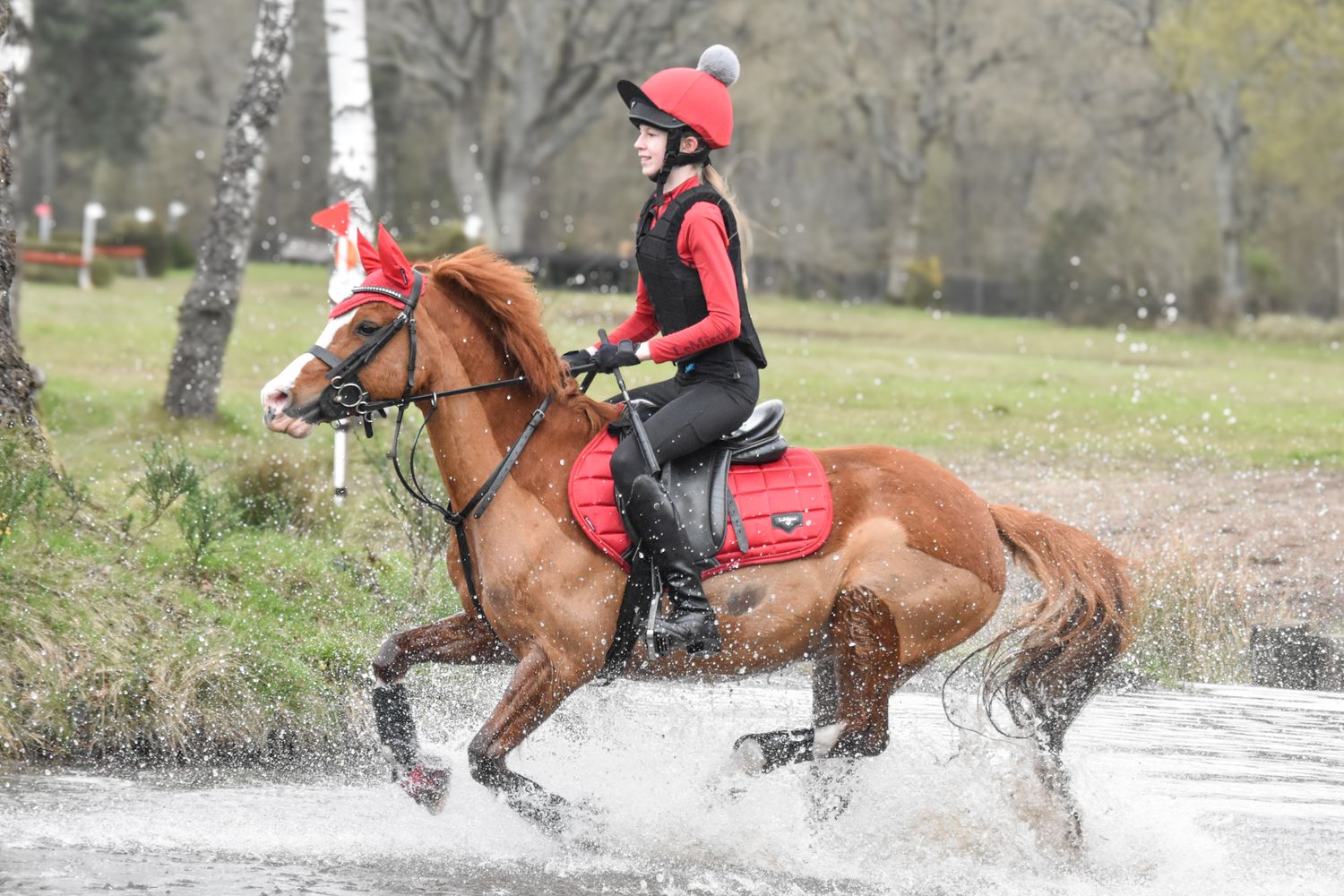 Female equestrian in red helmet galloping a chestnut horse through water during cross-country.