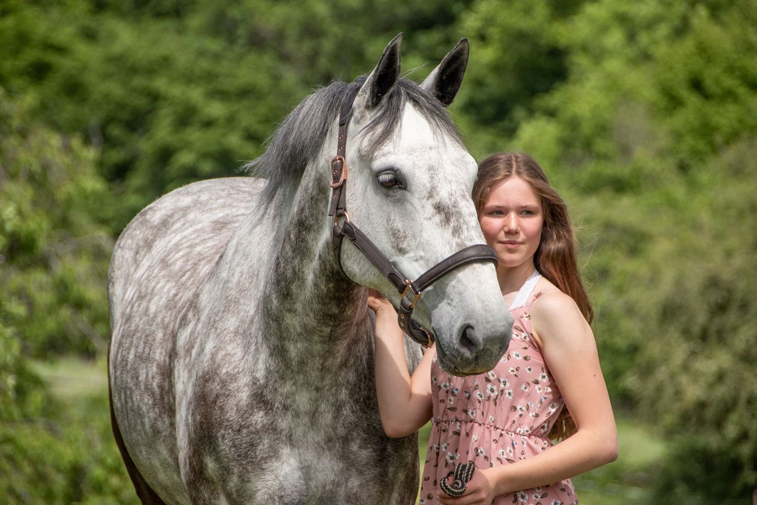 A young girl in a floral dress stands beside a dapple grey horse in a lush green outdoor setting.