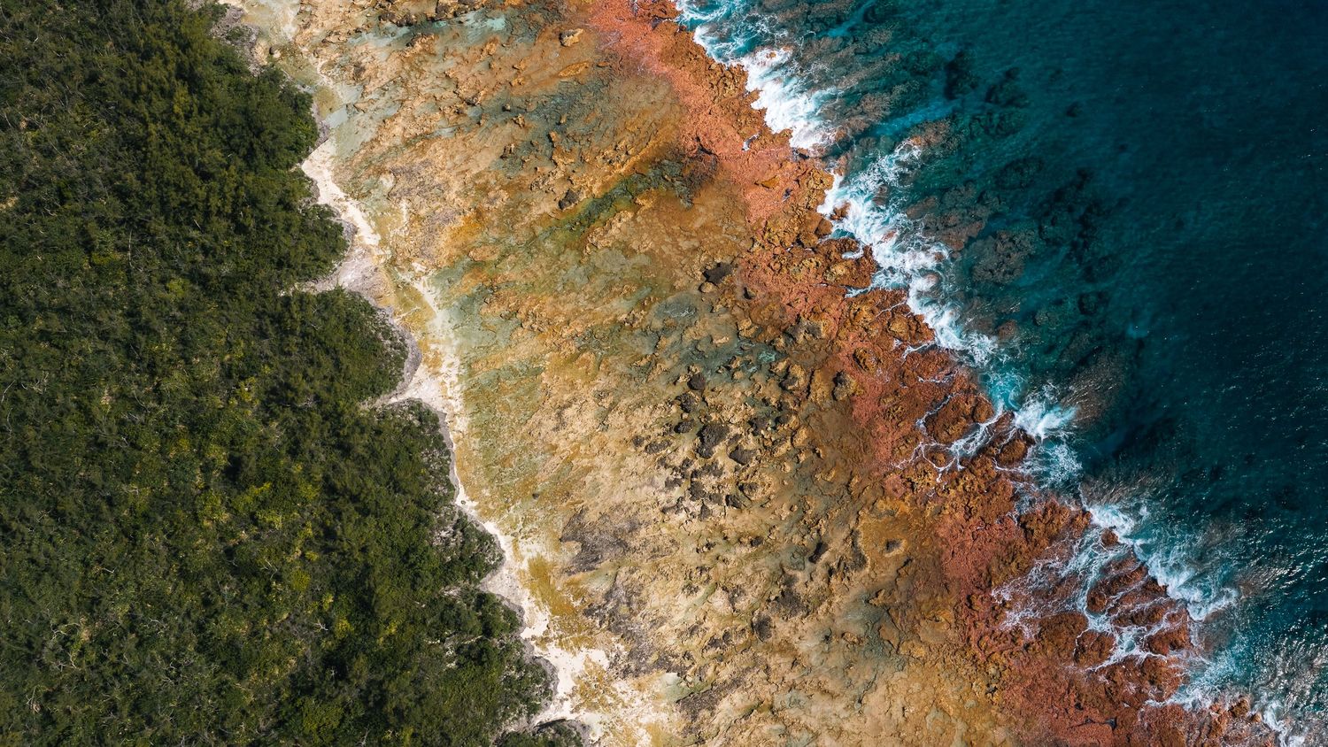 Aerial view of a rocky coastline with turquoise ocean waves, red algae rocks, and lush green forest meeting the shore.