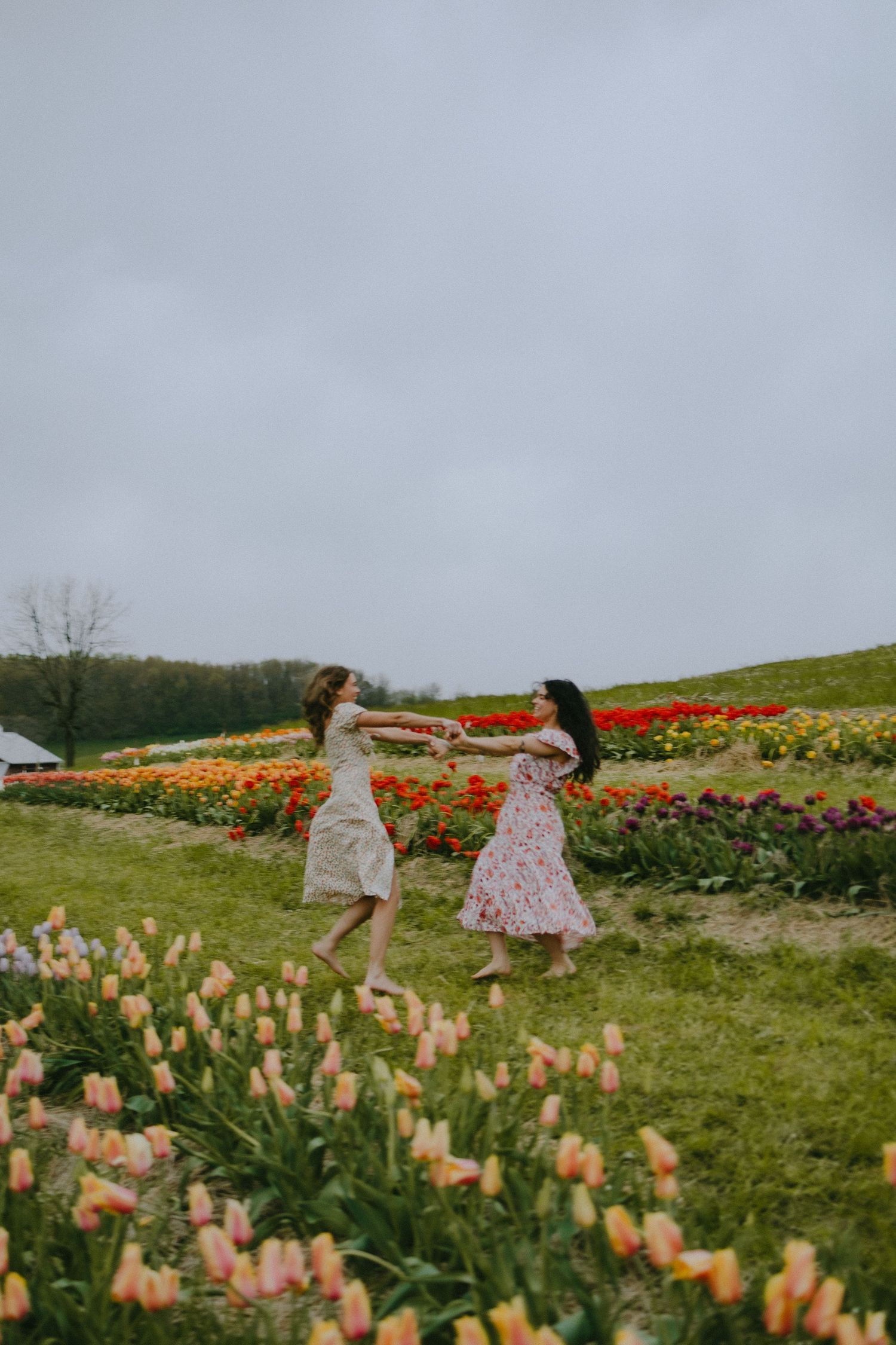 Two friends dancing together in dresses among blooming spring tulip fields.