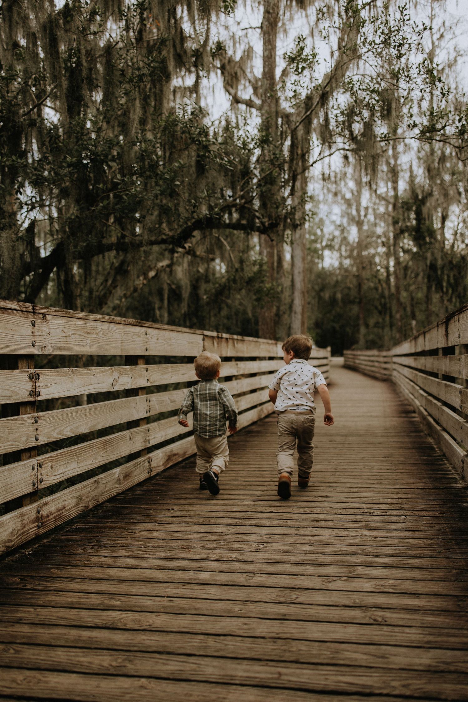 Two small children walking together on a wooden boardwalk surrounded by moss-covered trees.