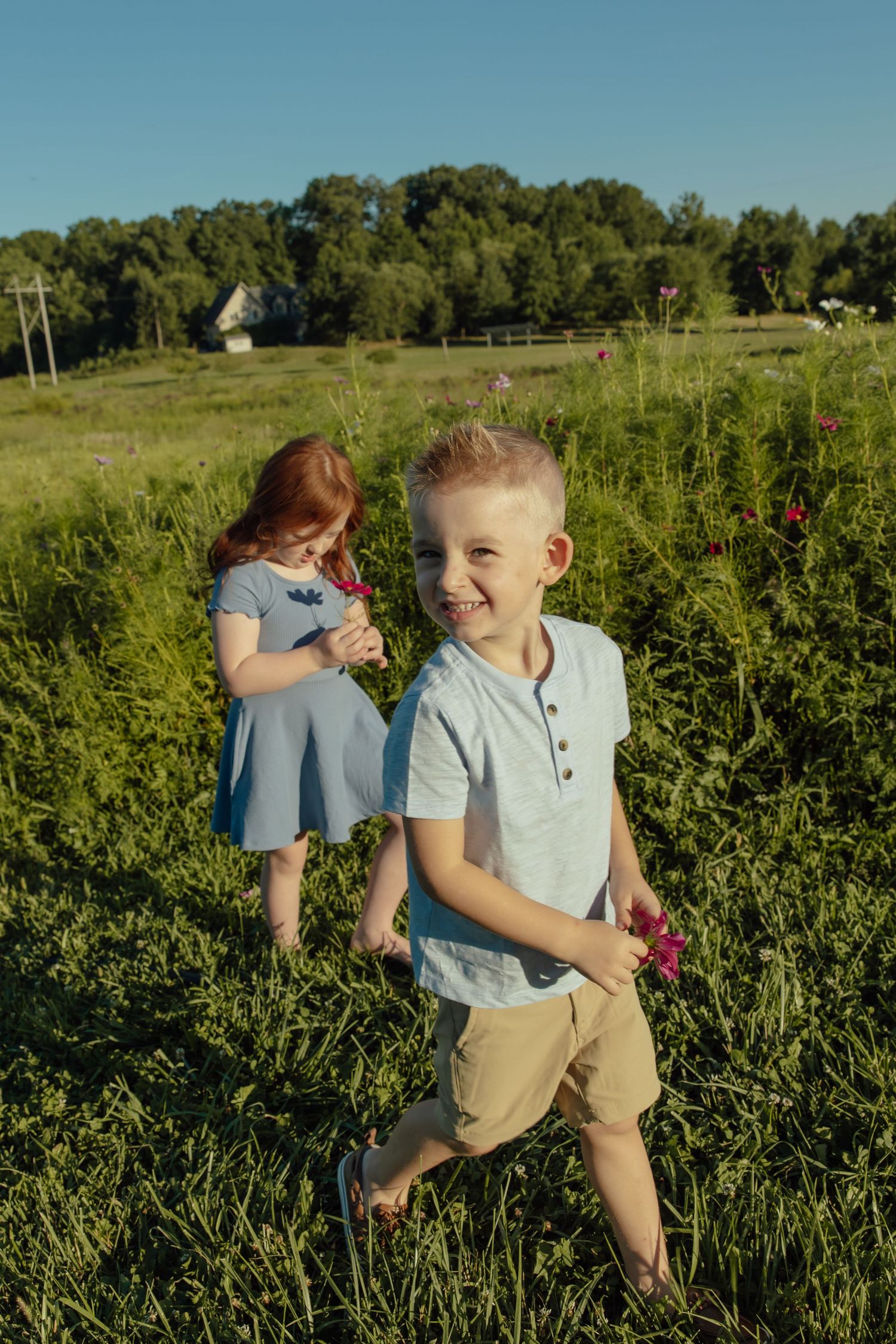 A series of candid moments in a sunny wildflower field shows playful interaction between people on a summer day.