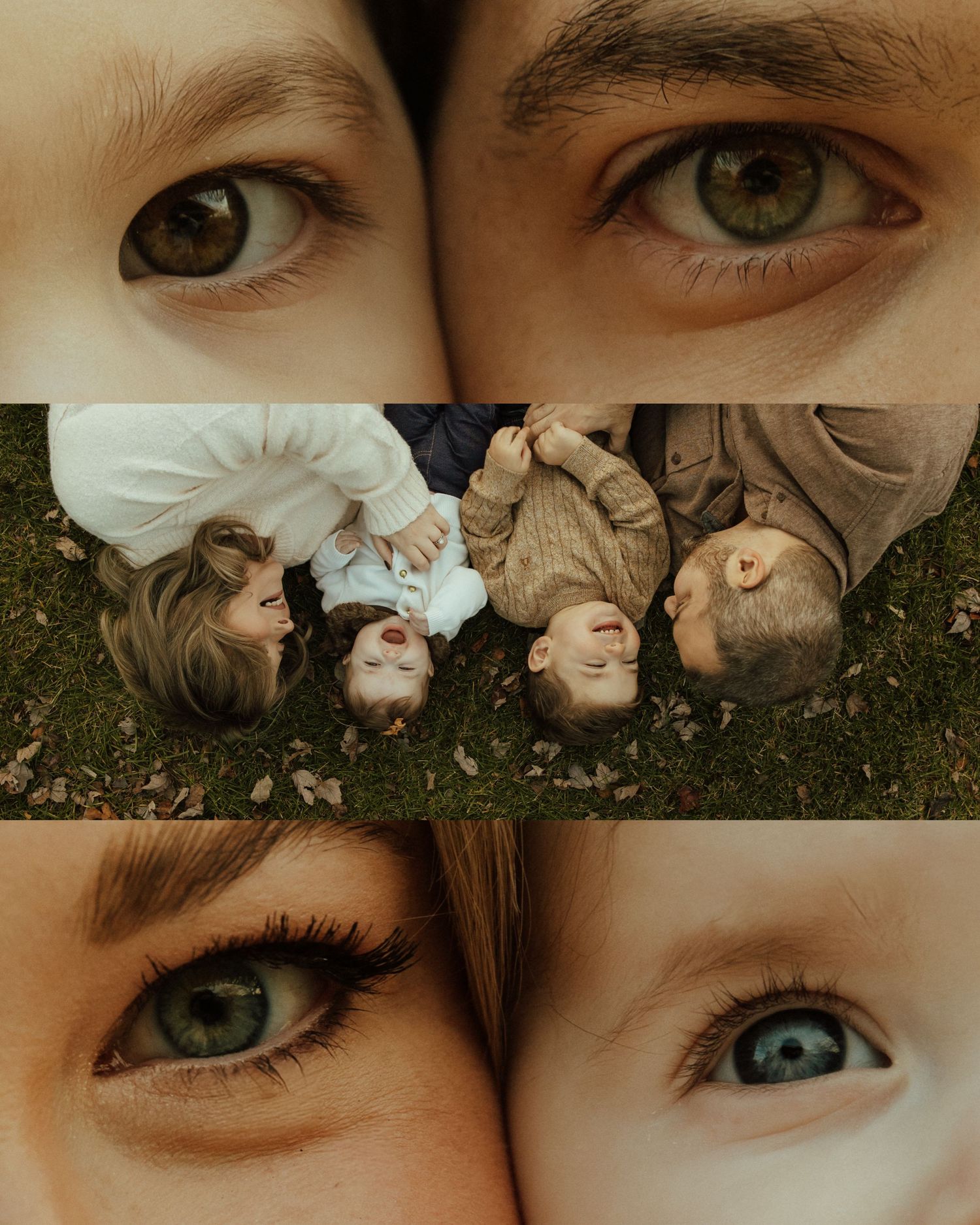 A collage of close-up eye shots and people laying in grass, showcasing different colored irises and perspectives.