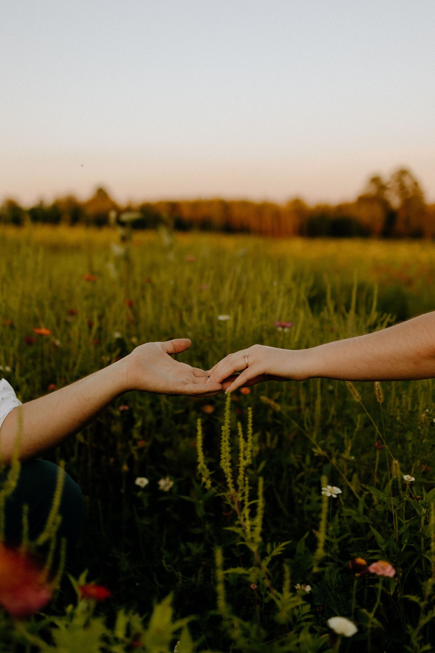 Two hands reaching towards each other in a sunlit meadow with wildflowers.