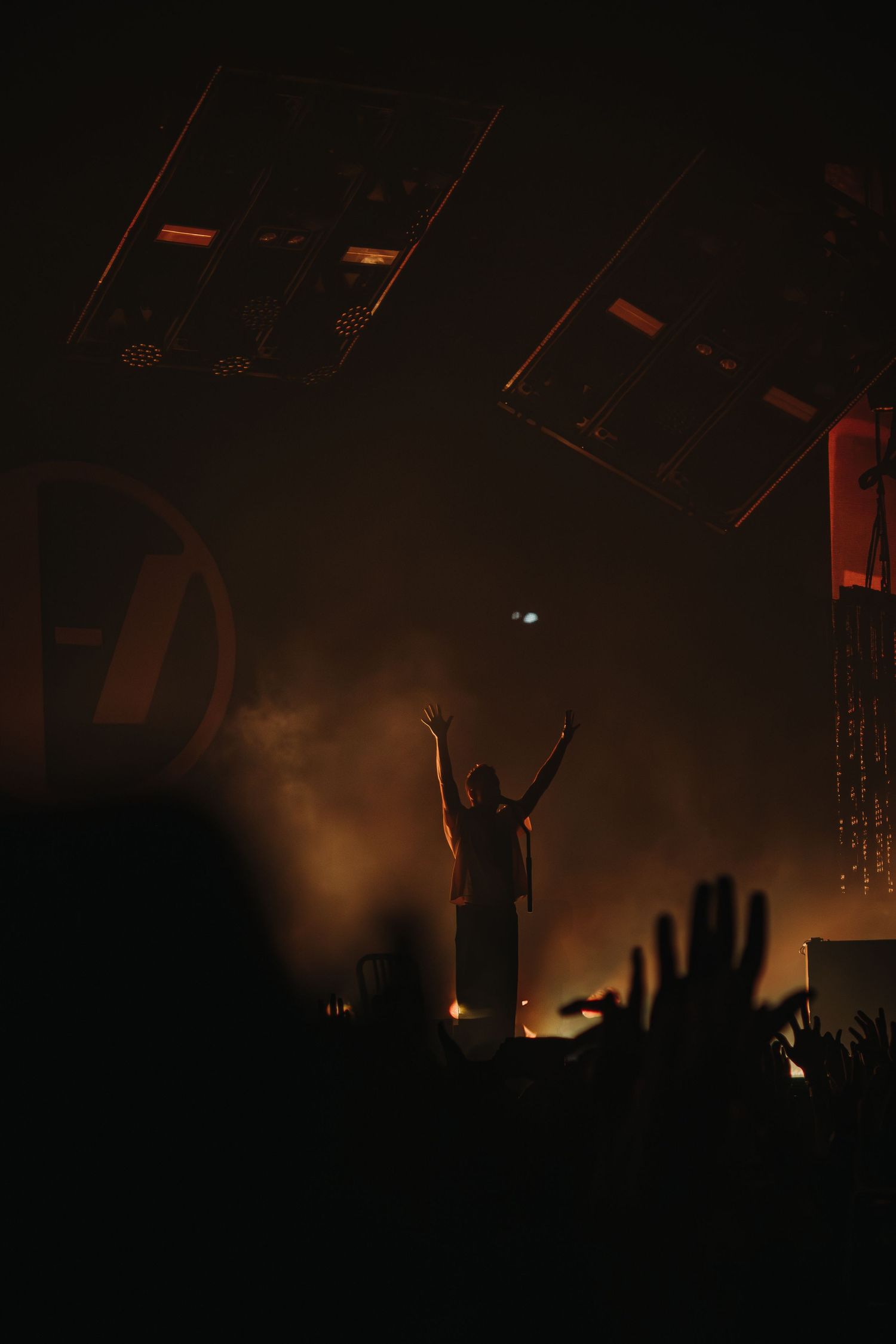 Silhouetted performer raises arms on stage as crowd cheers in dark concert venue.