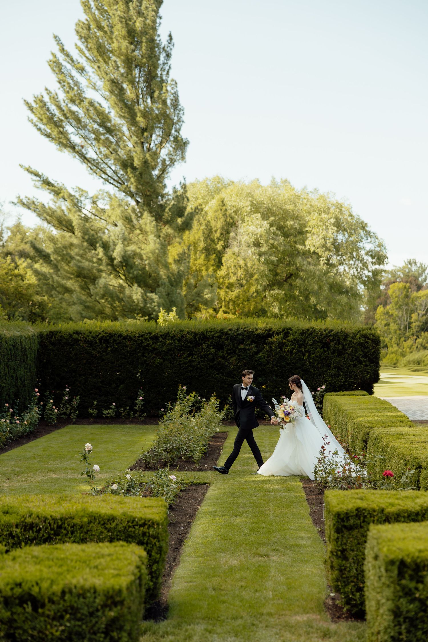 Wedding couple walking through manicured garden paths lined with perfectly trimmed hedges.