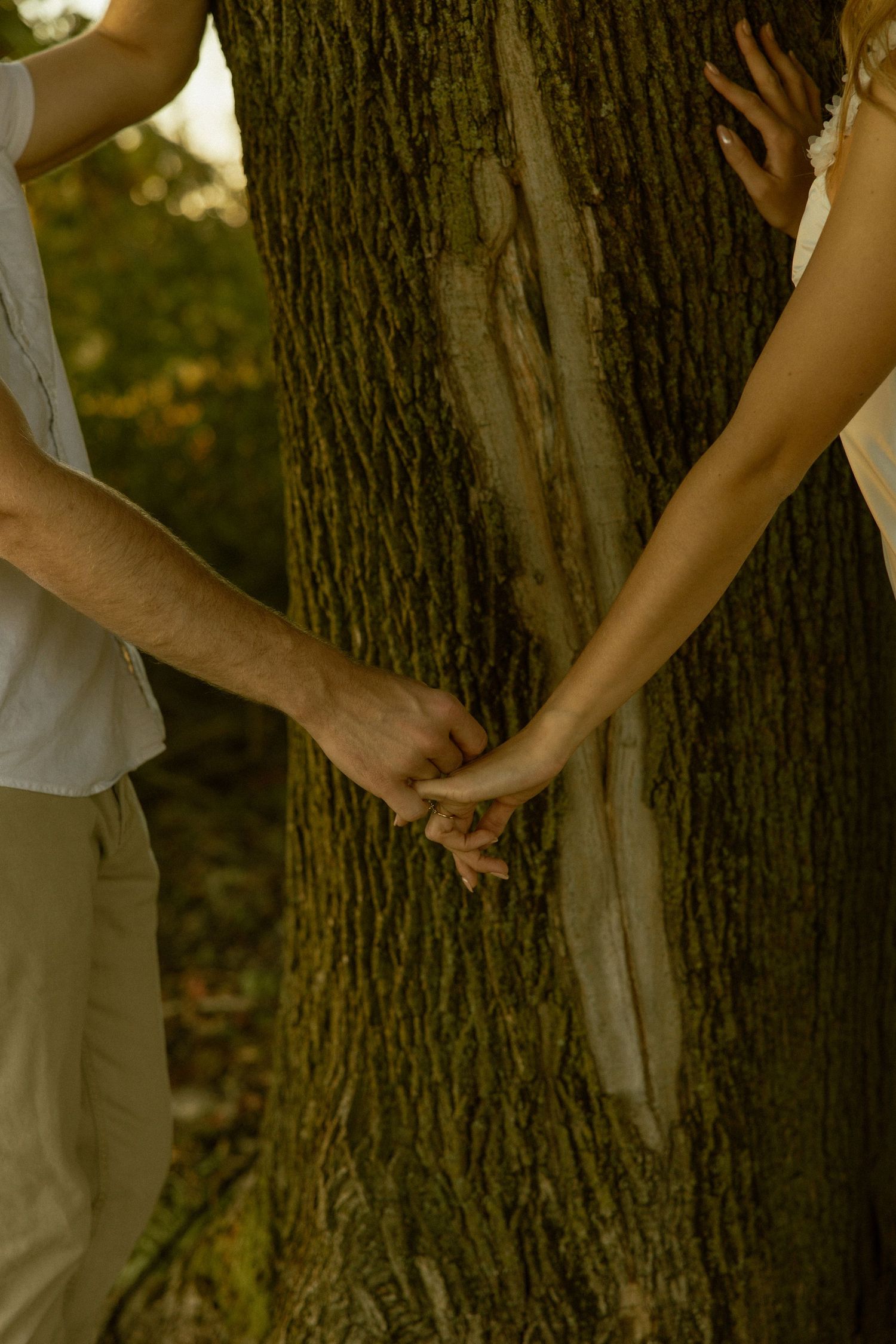 A couple holds hands behind a large tree trunk in a romantic outdoor setting during golden hour.