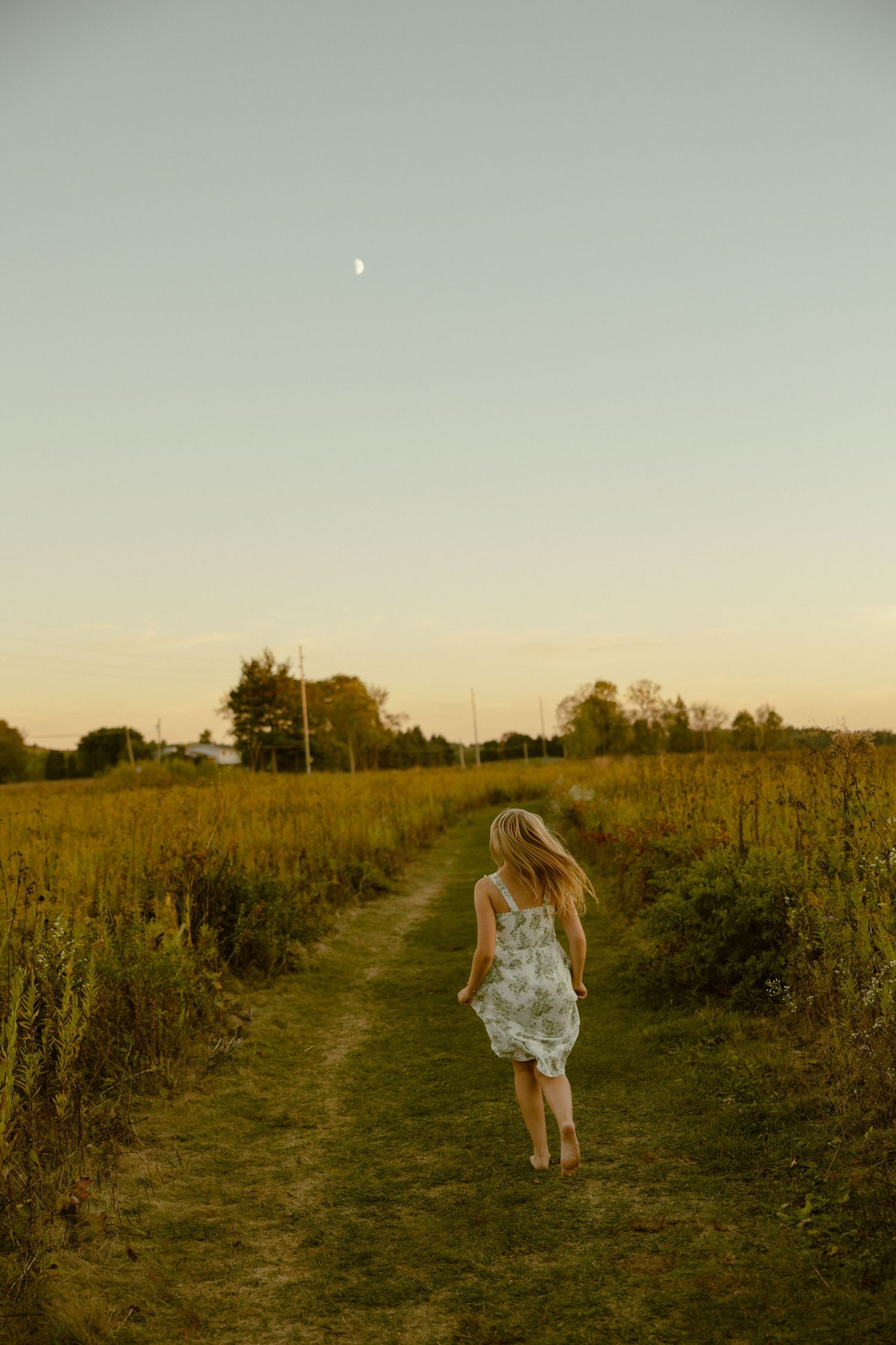 A dirt path winds through a golden meadow at sunset with tall grasses and wildflowers on either side.