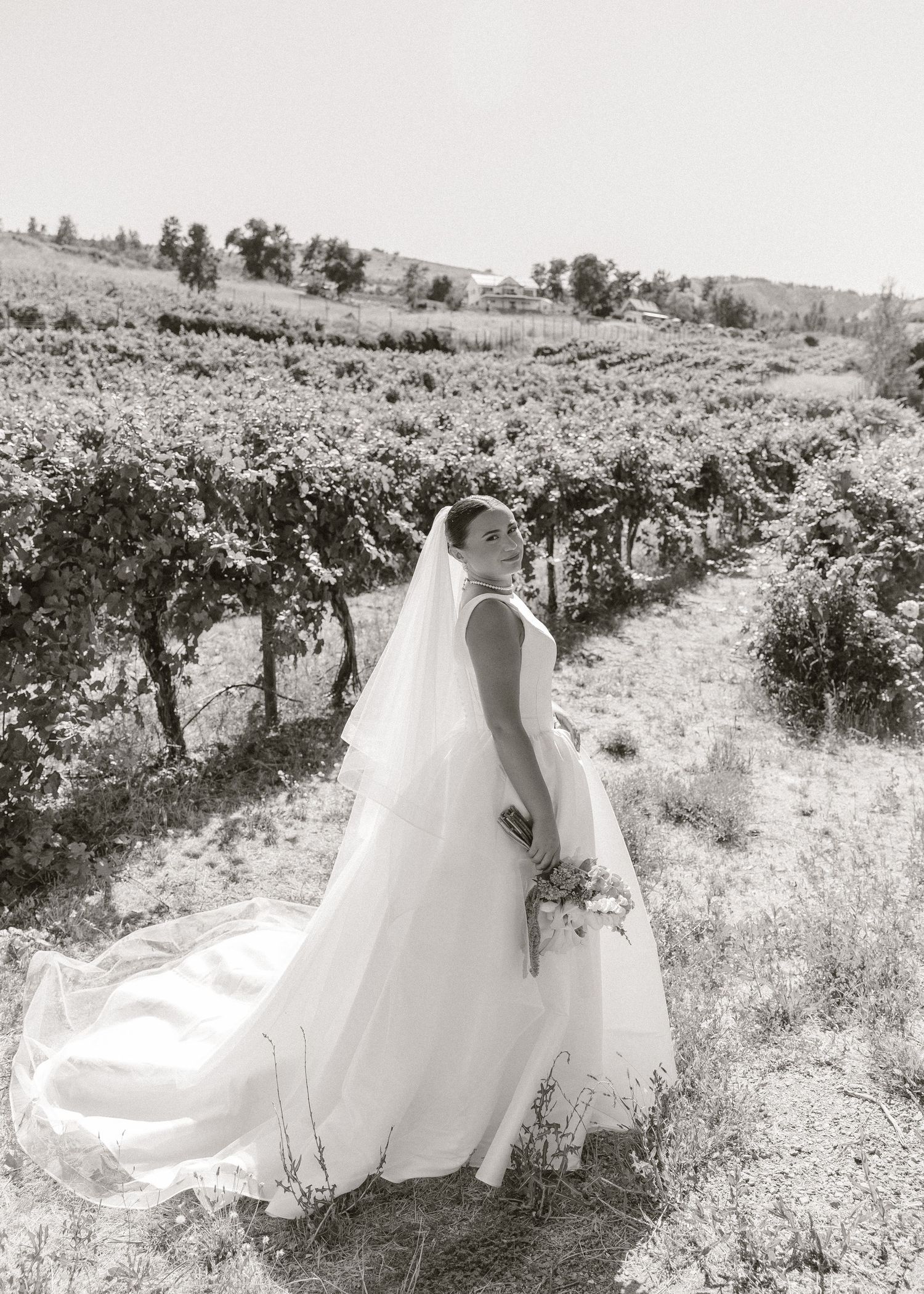 Bride in a flowing white gown and veil poses gracefully among vineyard rows in a black and white wedding photo.