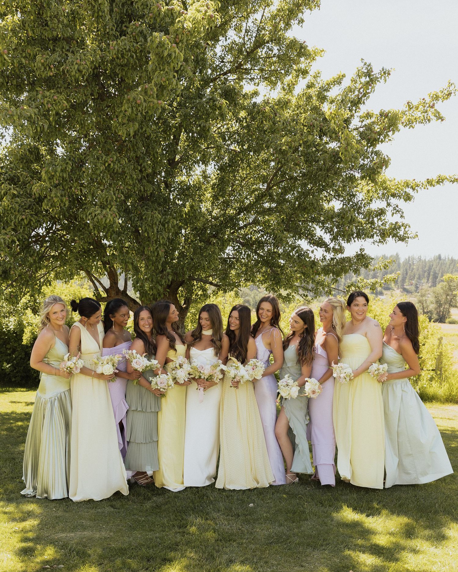 A bridal party in pale yellow dresses poses together under a large tree in a mountain setting.