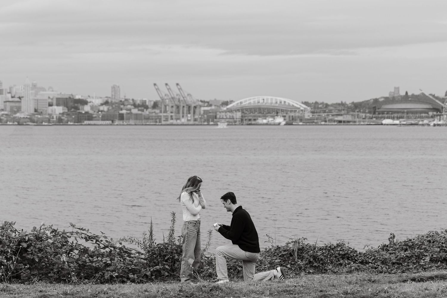 Marriage proposal by waterfront with city skyline and harbor bridge in distance.