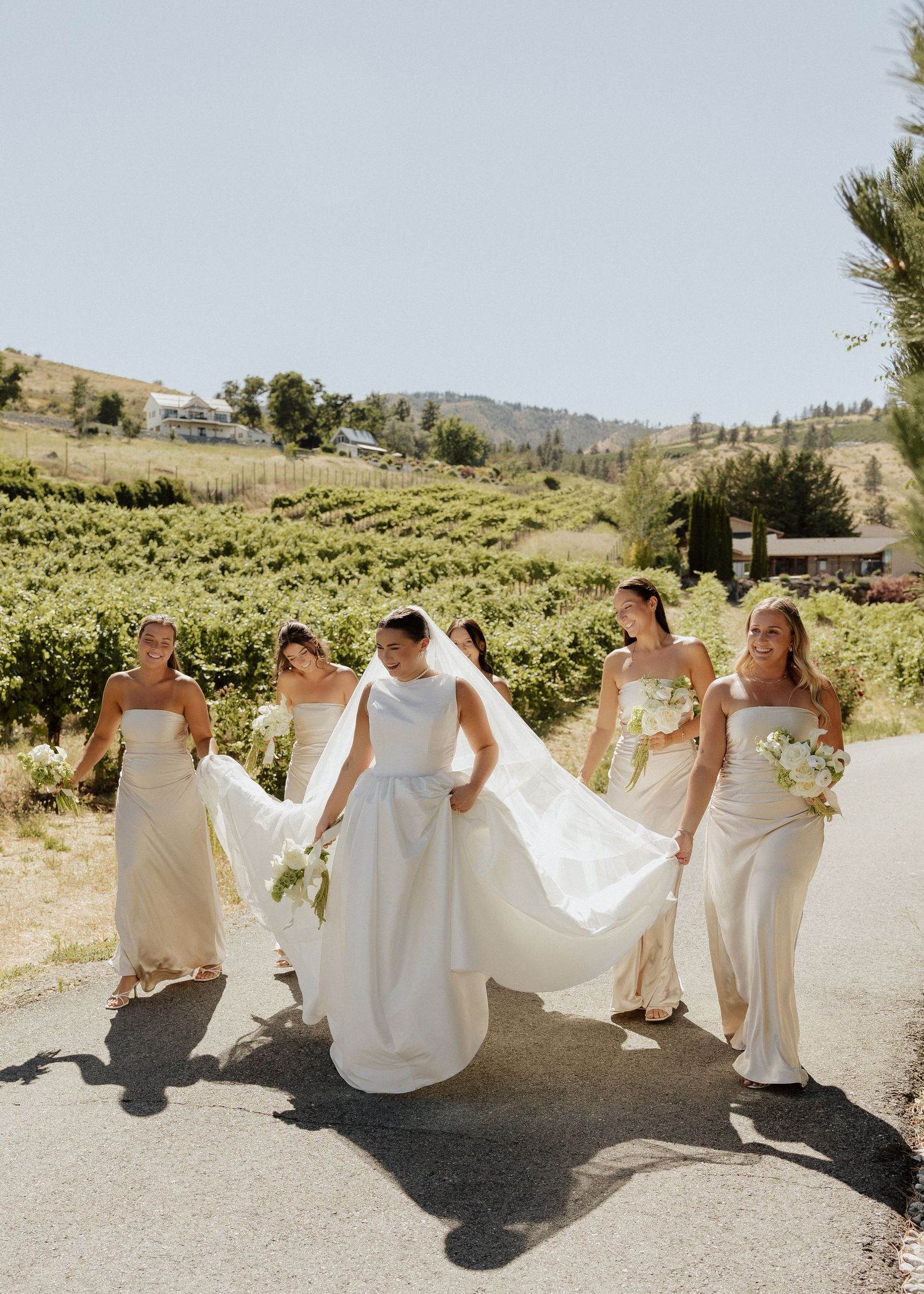 Bride in white gown walks with four bridesmaids in champagne dresses through a sunny vineyard setting.